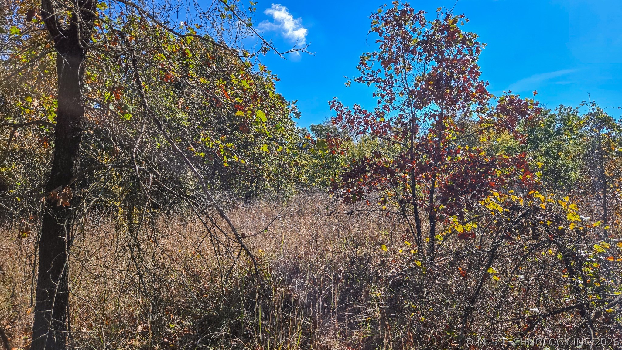 S 4270 Road Checotah OK 74426