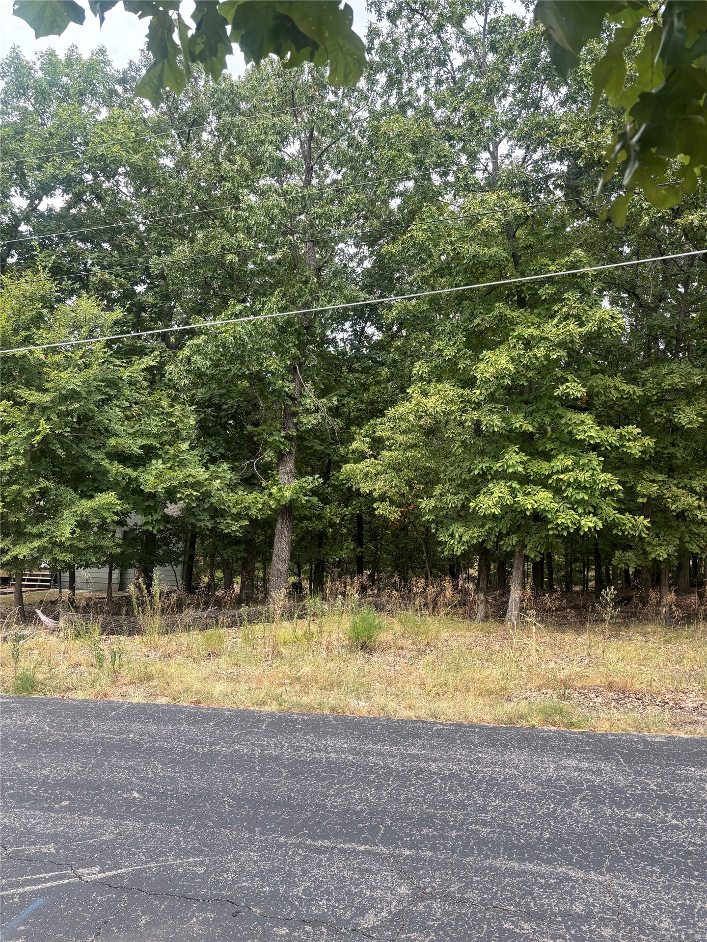 Blackwood Drive Afton OK 74331