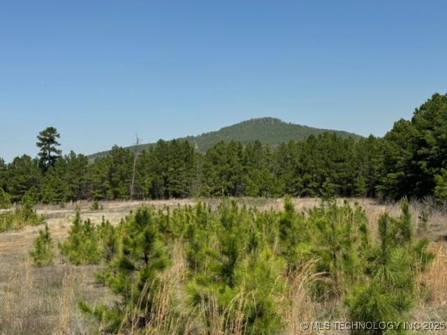 2 NW 196th Road Wilburton OK 74578