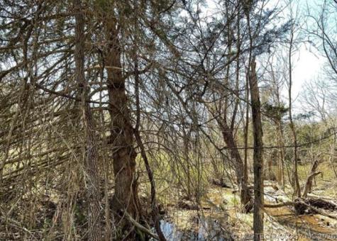 27800 E Valley Lane Proctor OK 74457