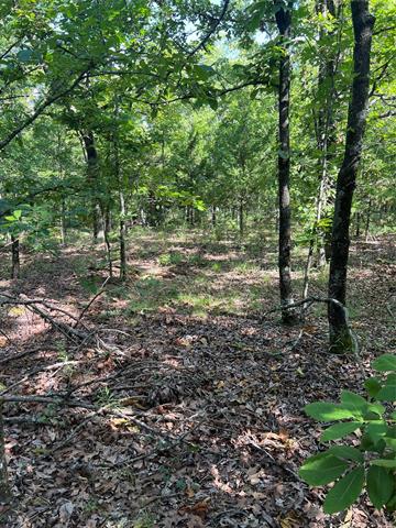 02 Rural Route Road Sallisaw OK 74955