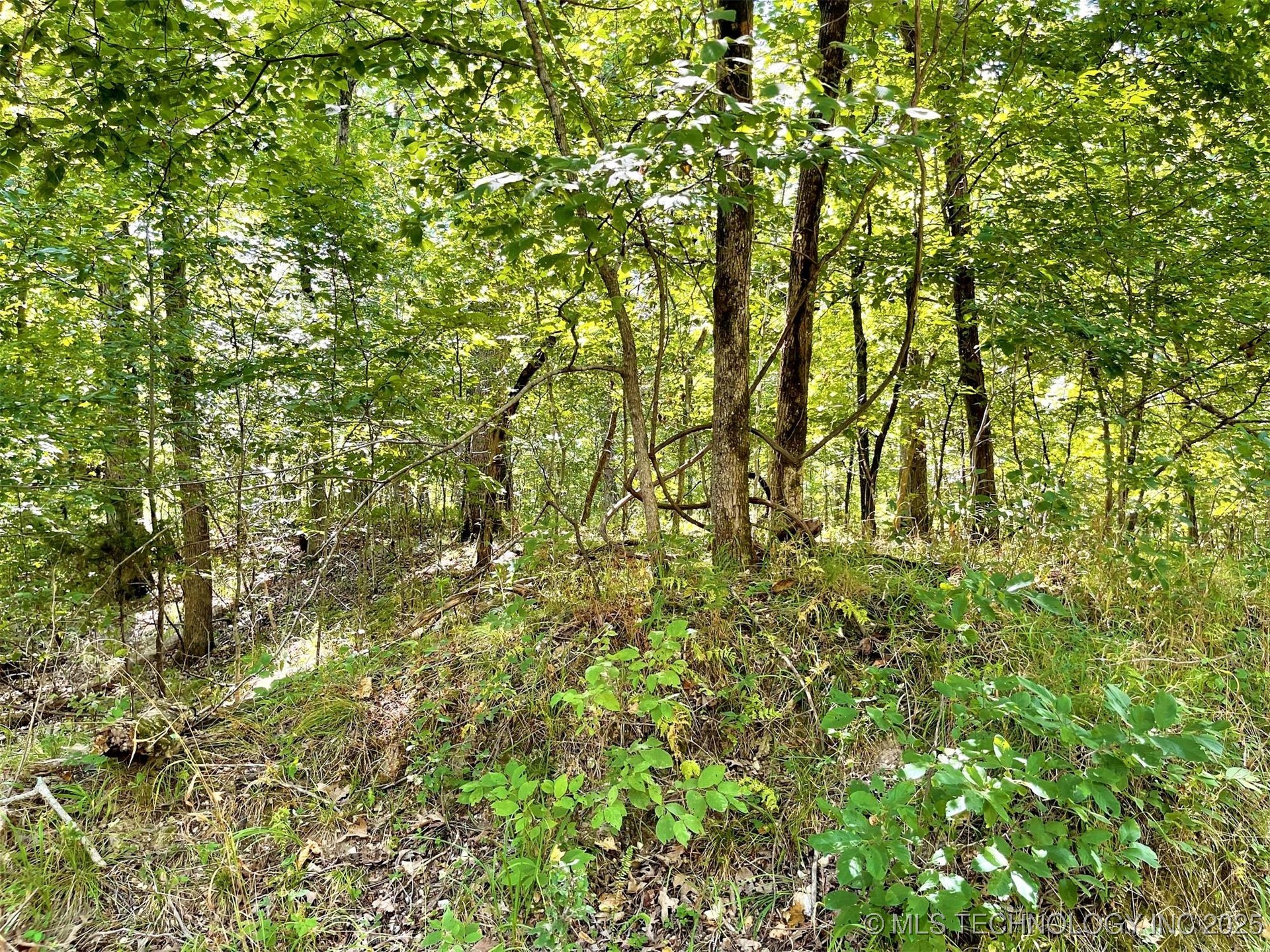 Alder Way Tahlequah OK 74464