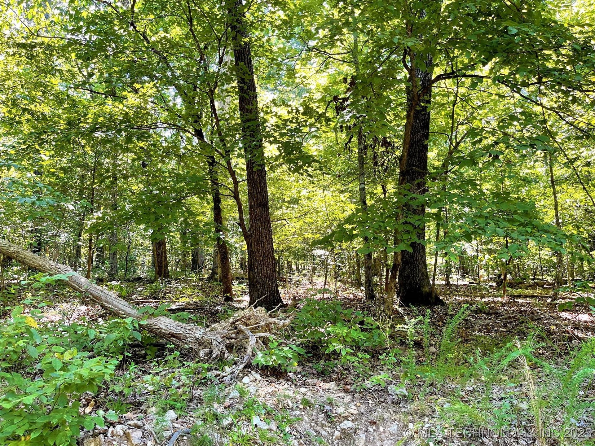 Alder Way Tahlequah OK 74464
