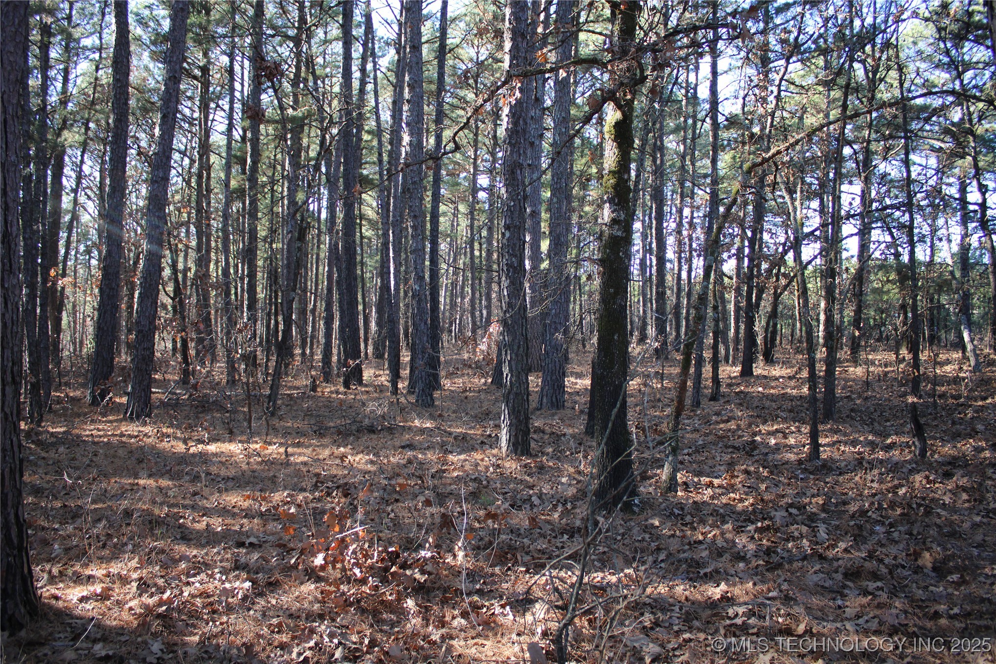 000 E 495 Road Jay OK 74346