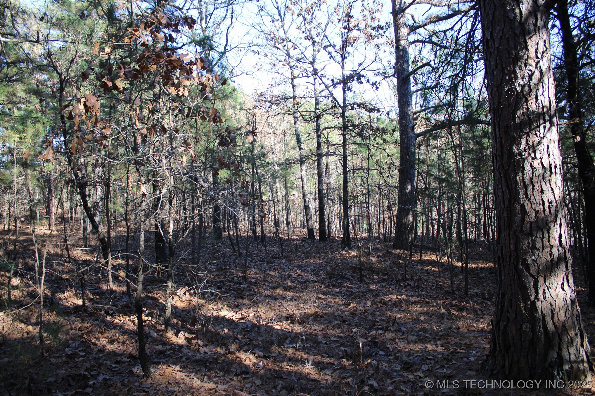 000 E 495 Road Jay OK 74346