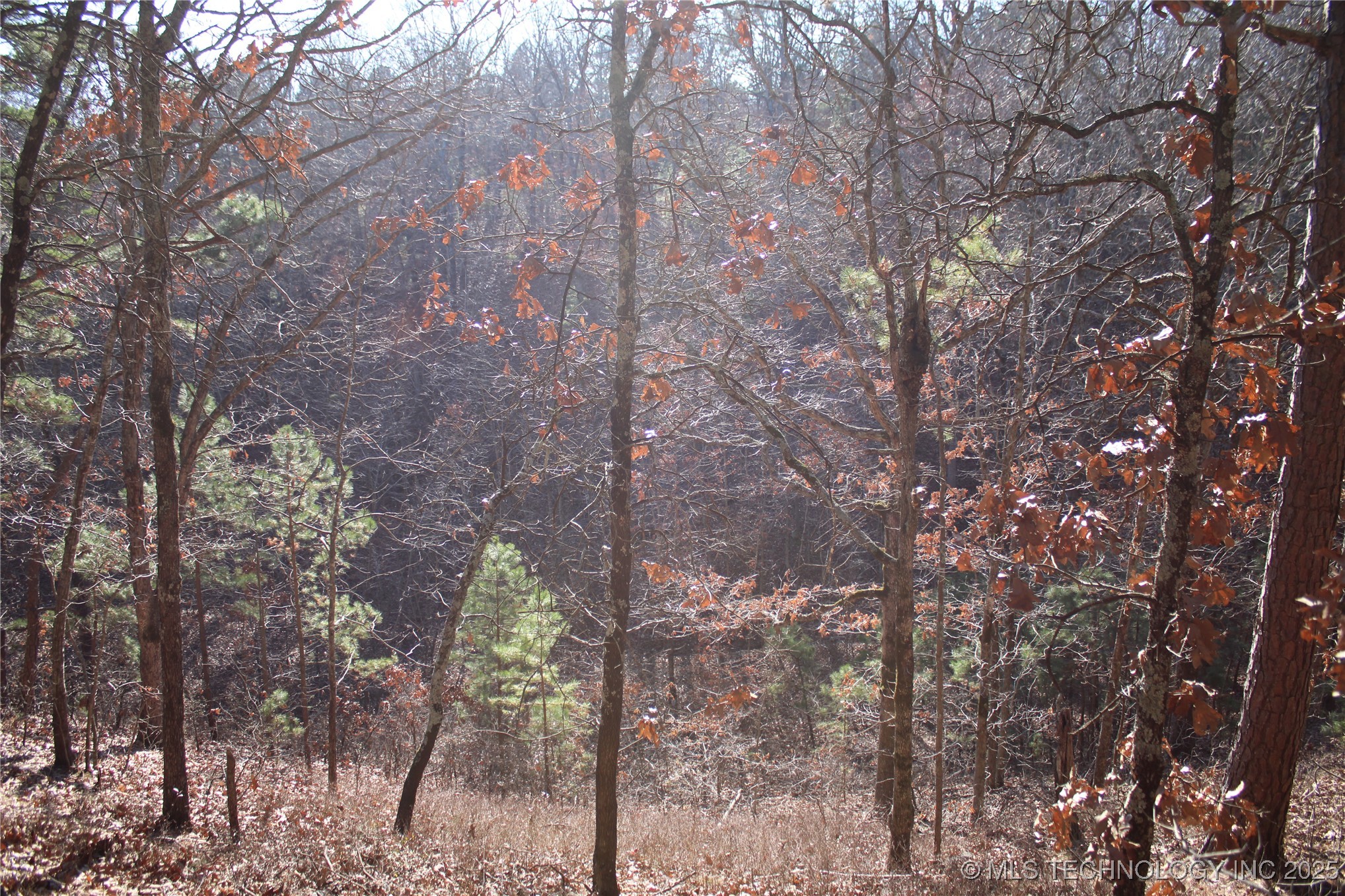 000 E 495 Road Jay OK 74346