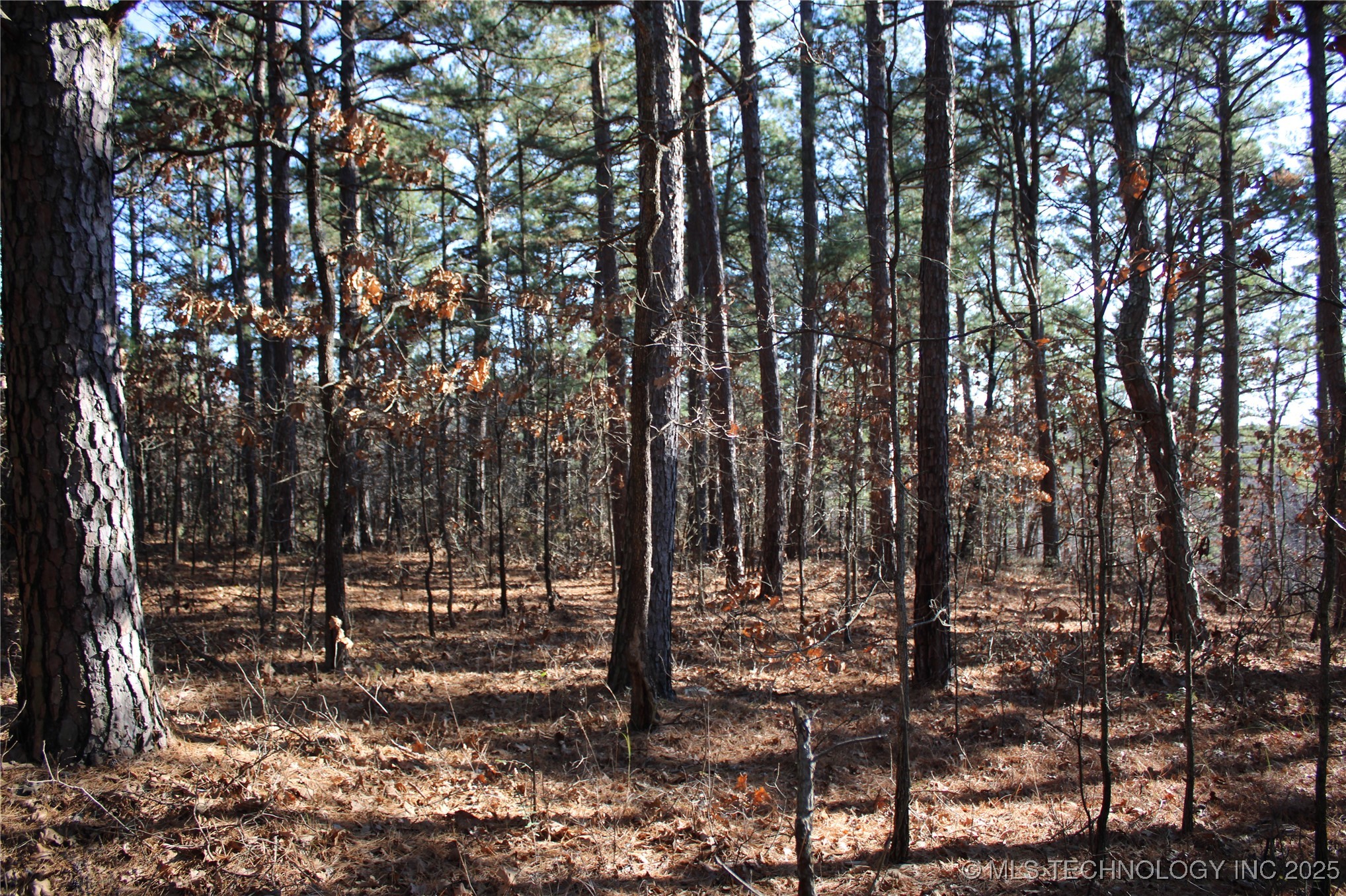 000 E 495 Road Jay OK 74346
