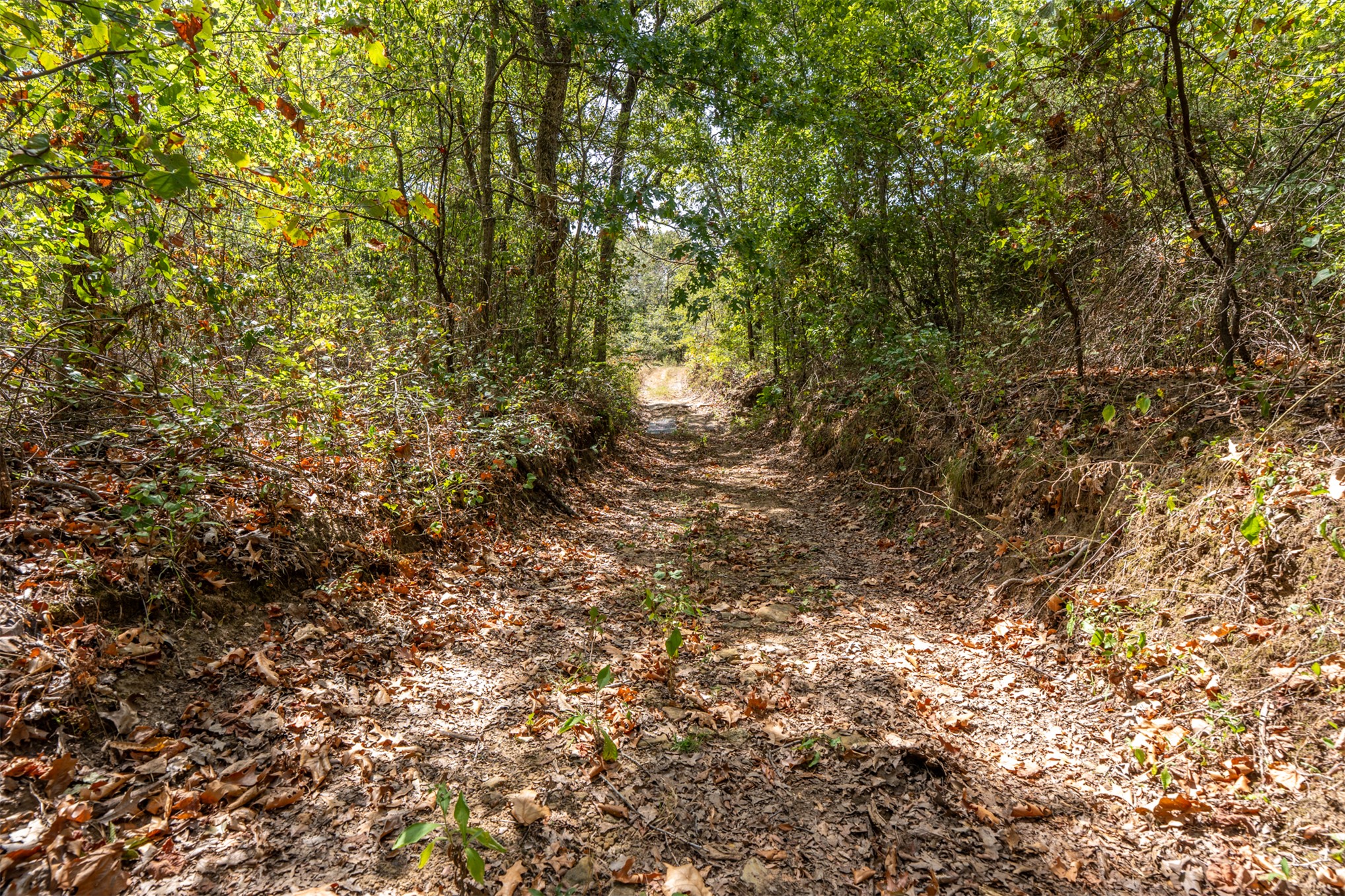 102140 N 3740 Okemah OK 74859