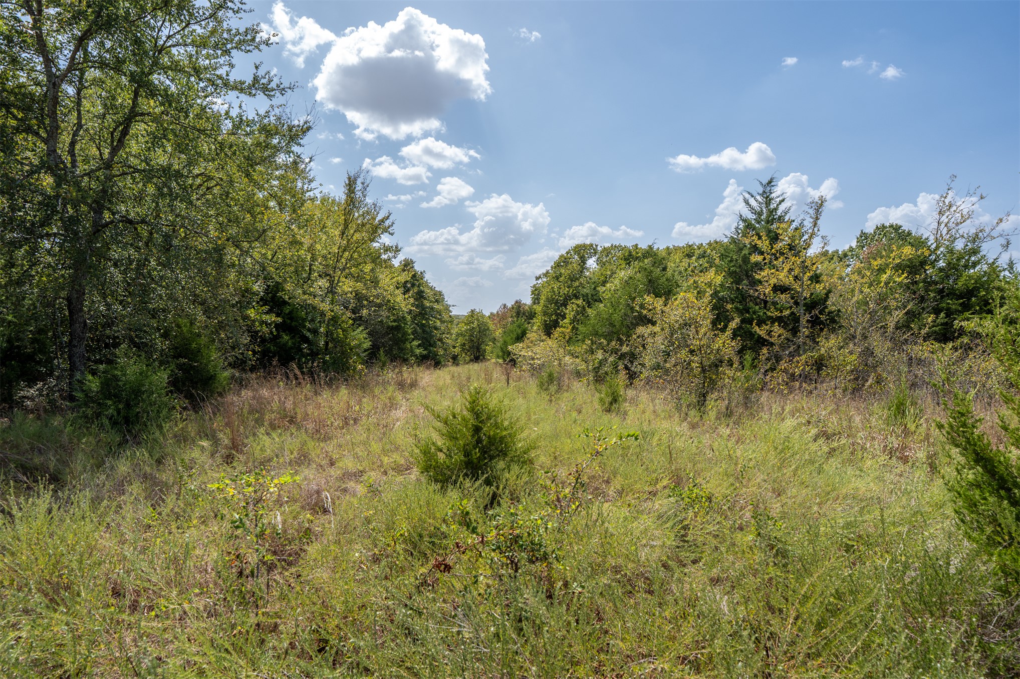 102140 N 3740 Okemah OK 74859