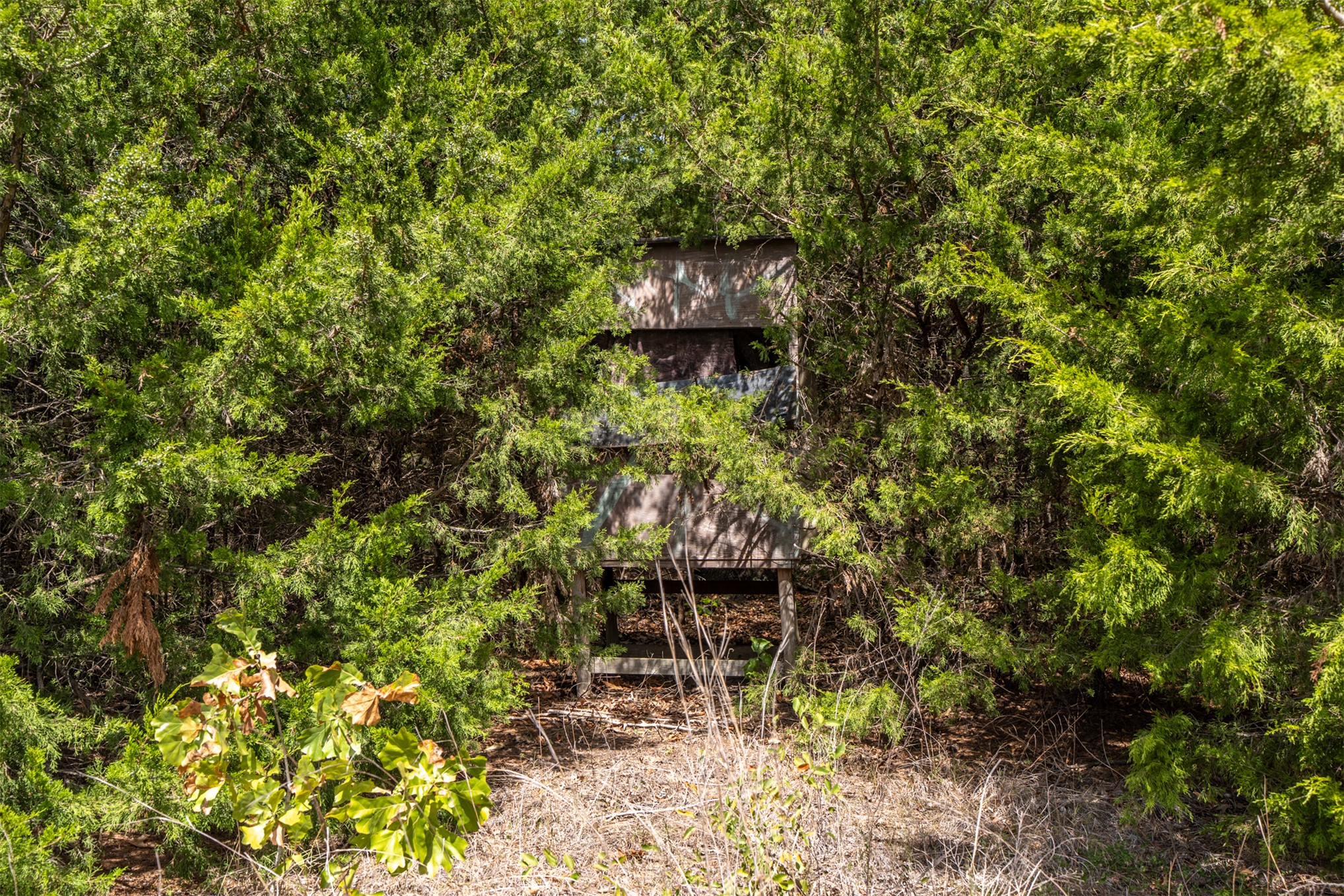 102140 N 3740 Okemah OK 74859