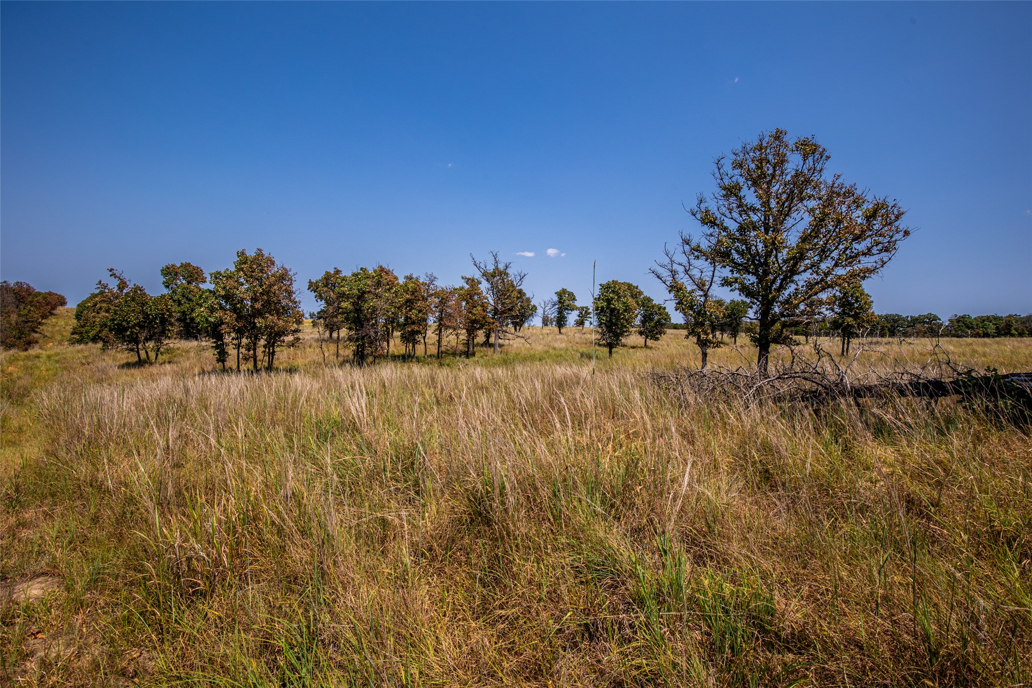 County Road Bartlesville OK 74003