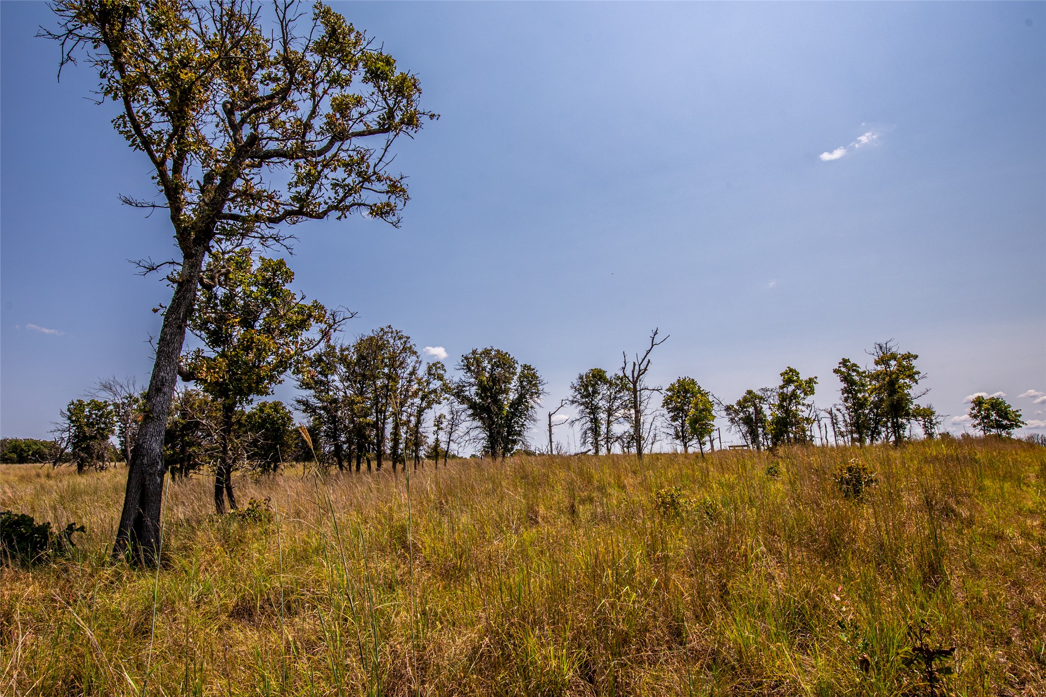 County Road Bartlesville OK 74003