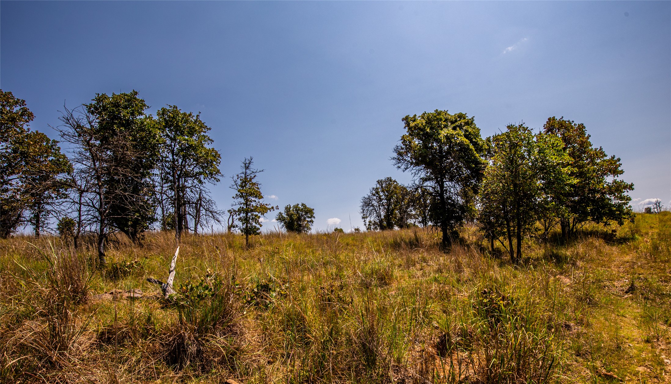 County Road Bartlesville OK 74003