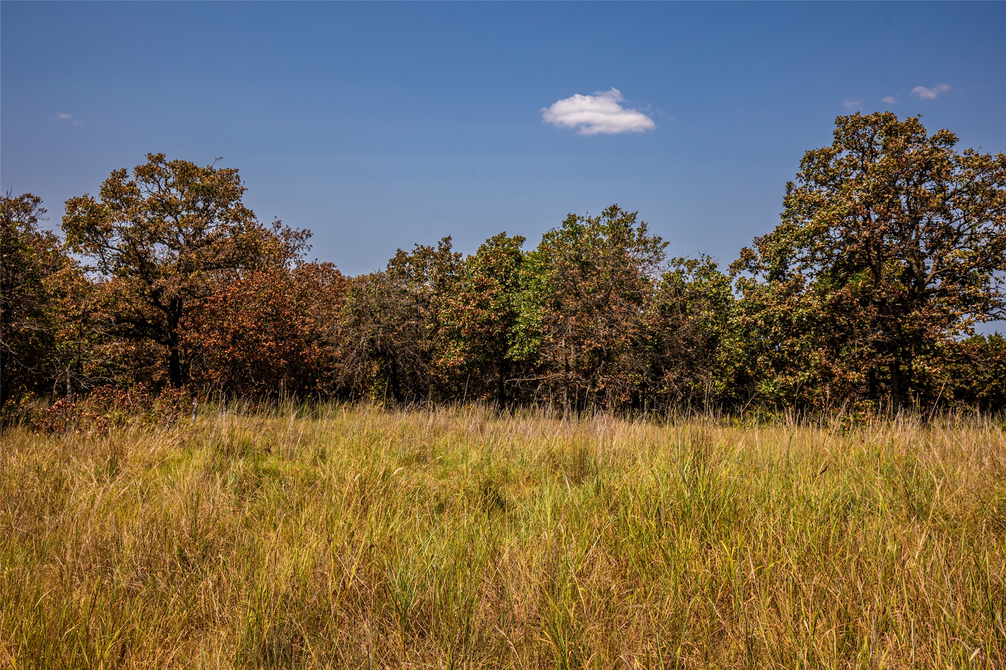 County Road Bartlesville OK 74003