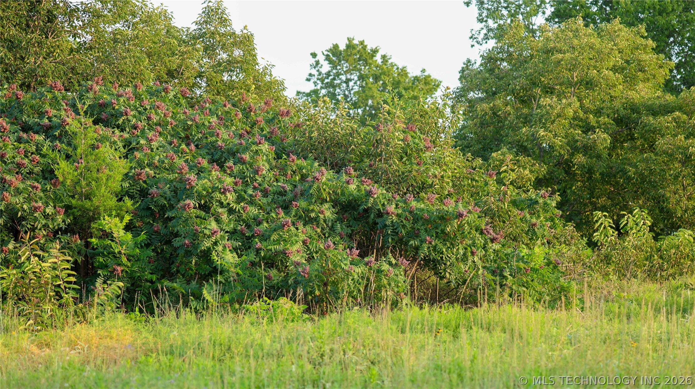 001 E County Road 1650 Fitzhugh OK 74843