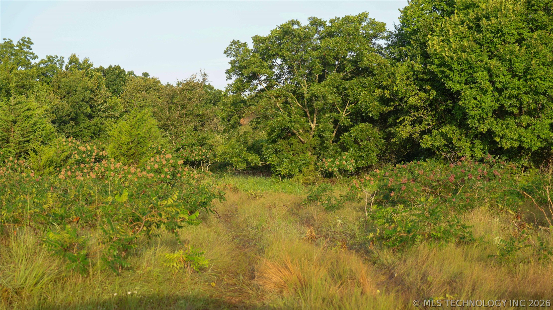 001 E County Road 1650 Fitzhugh OK 74843