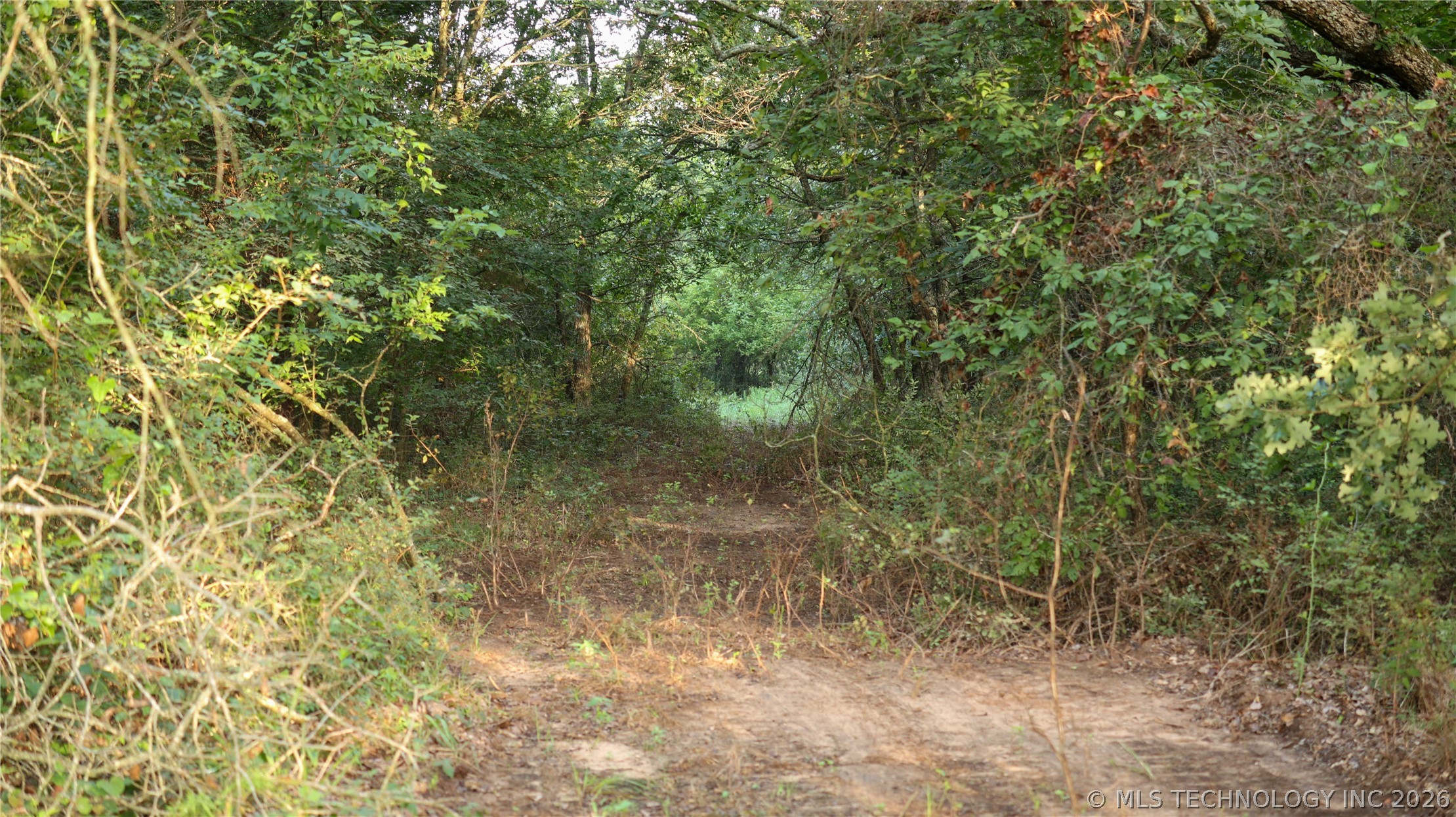 001 E County Road 1650 Fitzhugh OK 74843