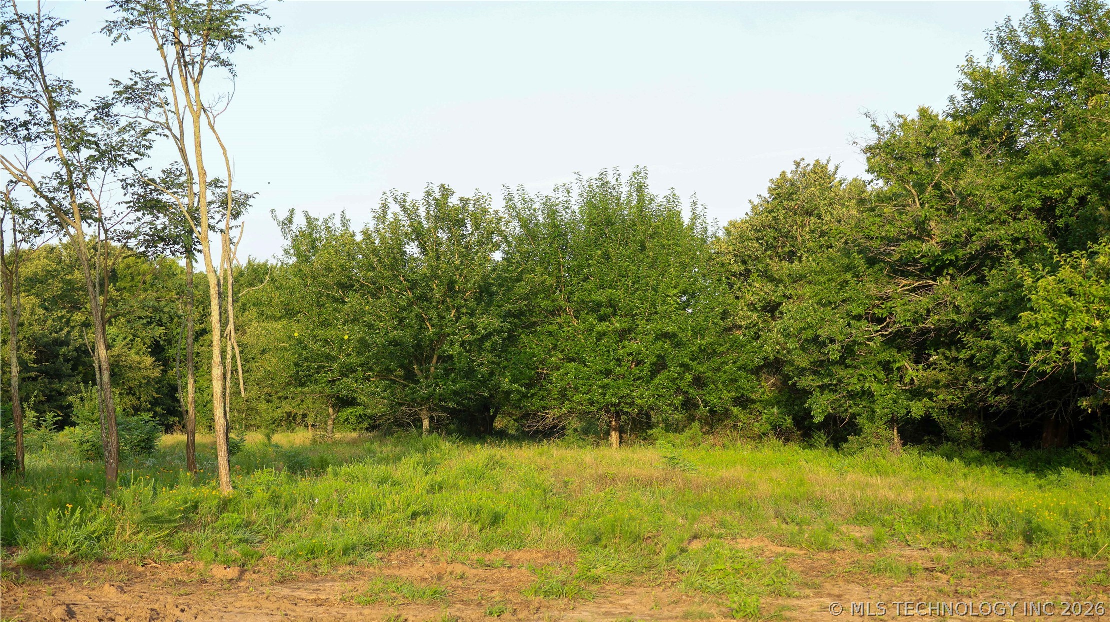 001 E County Road 1650 Fitzhugh OK 74843
