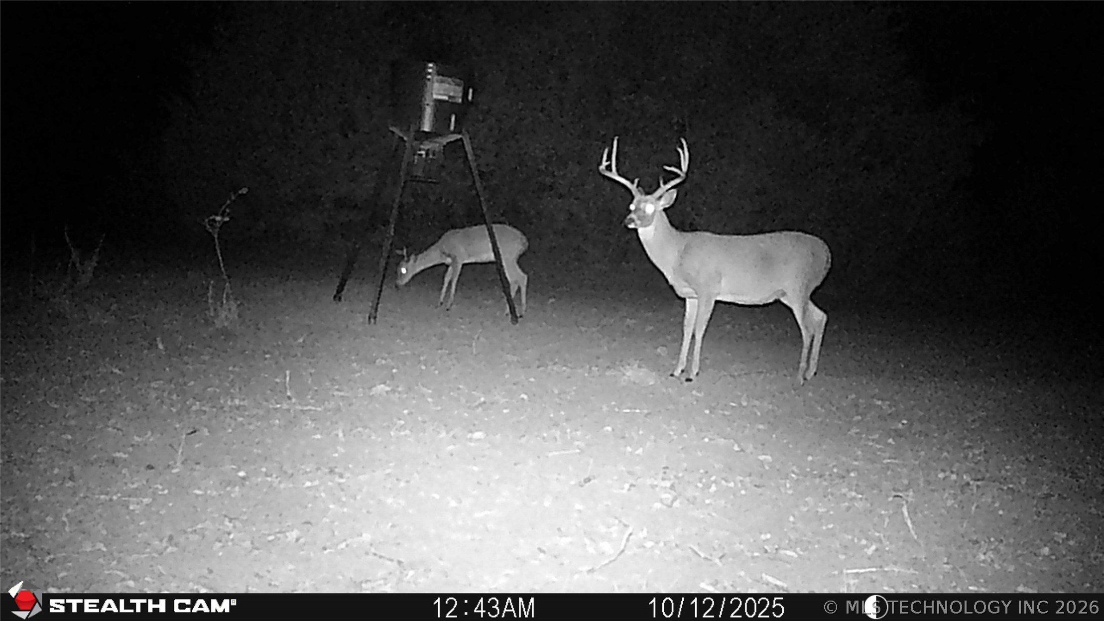 001 E County Road 1650 Fitzhugh OK 74843