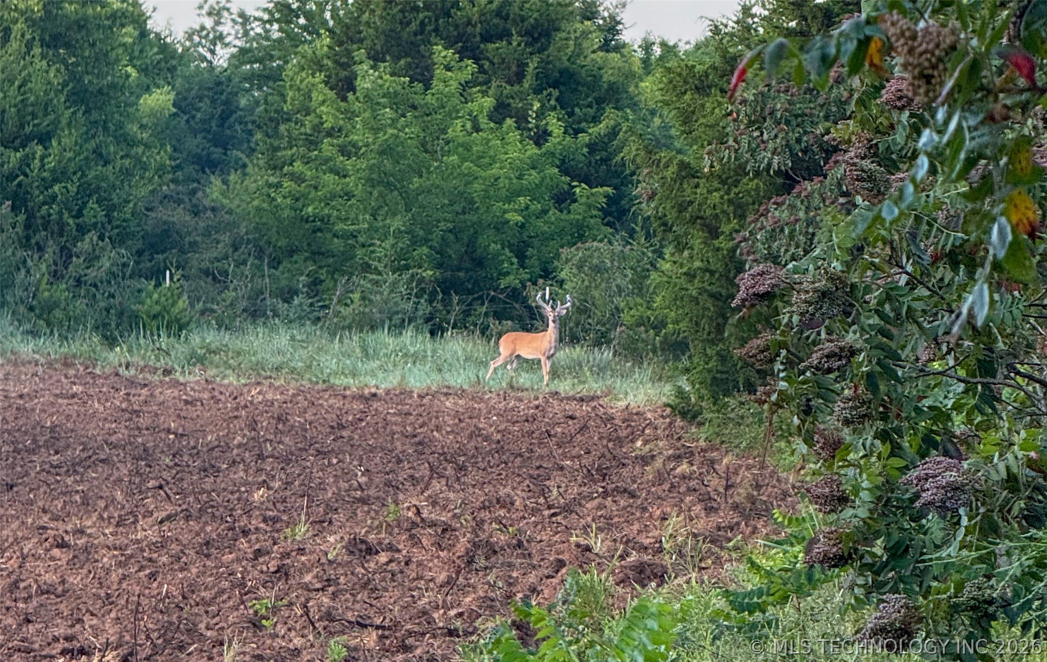 001 E County Road 1650 Fitzhugh OK 74843