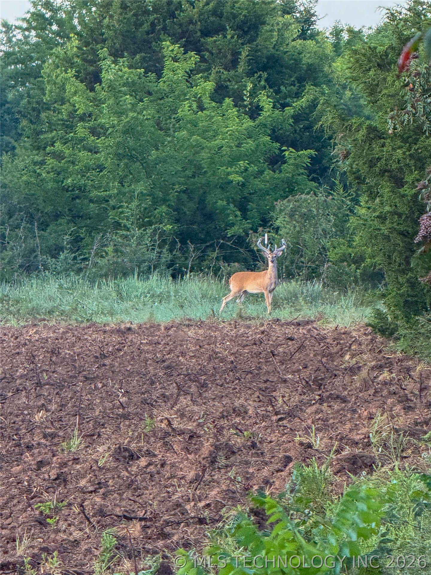 001 E County Road 1650 Fitzhugh OK 74843