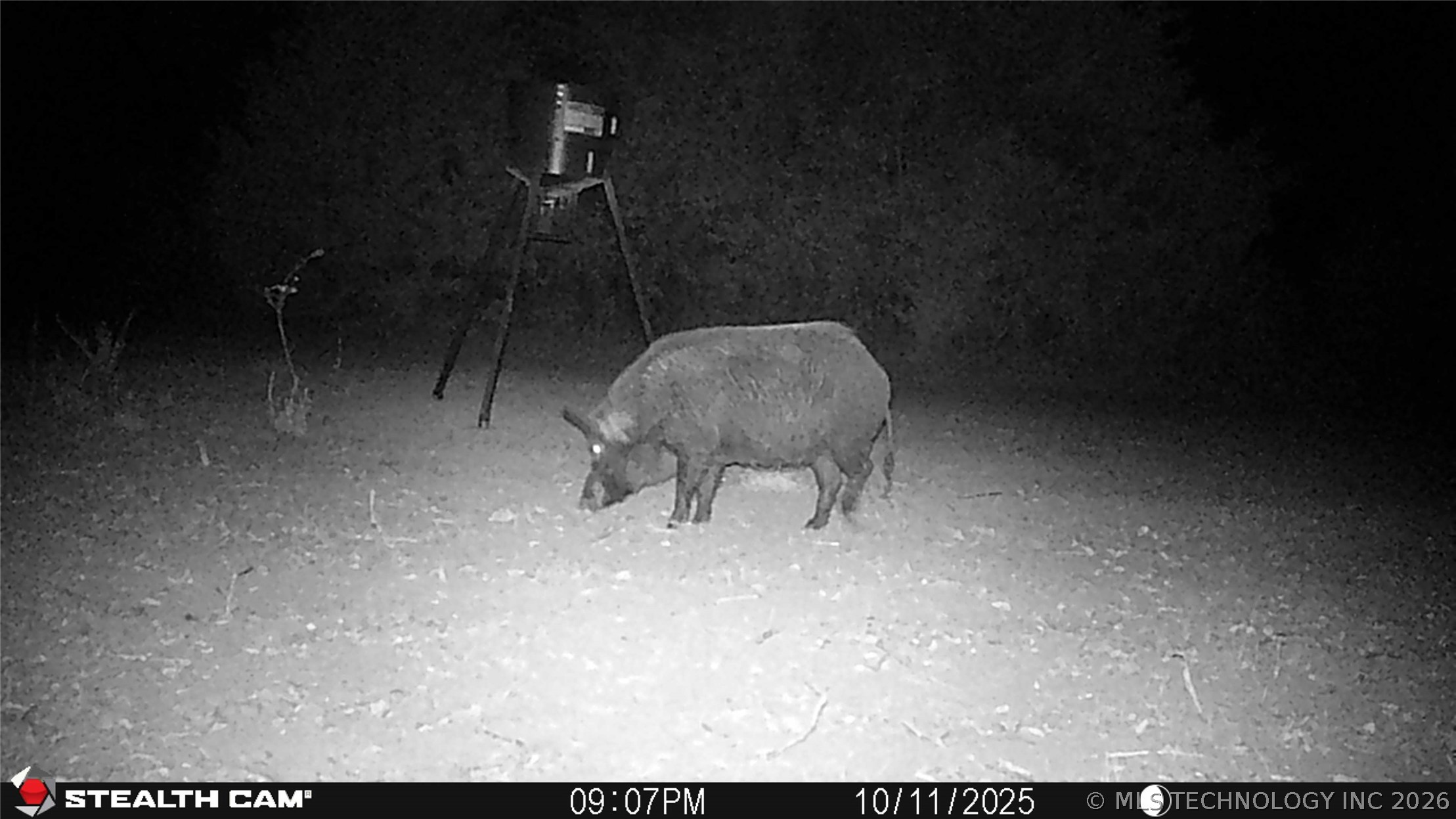 001 E County Road 1650 Fitzhugh OK 74843