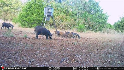001 E County Road 1650 Fitzhugh OK 74843