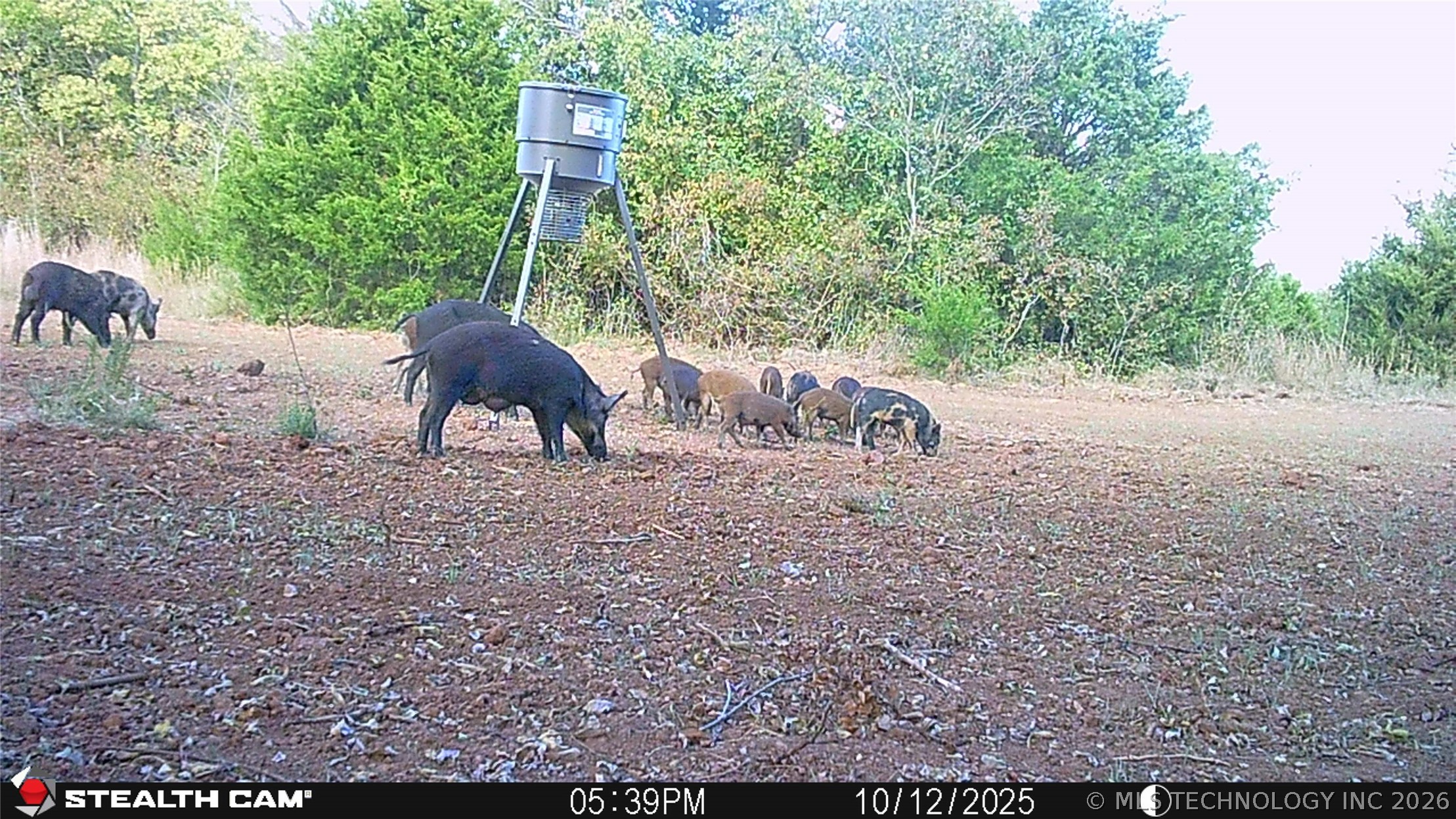 001 E County Road 1650 Fitzhugh OK 74843