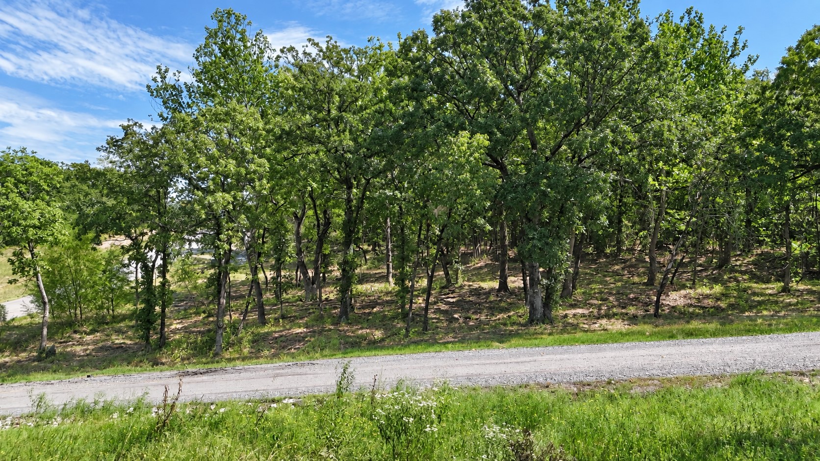 213 Patriot Pointe Road Eufaula OK 74432