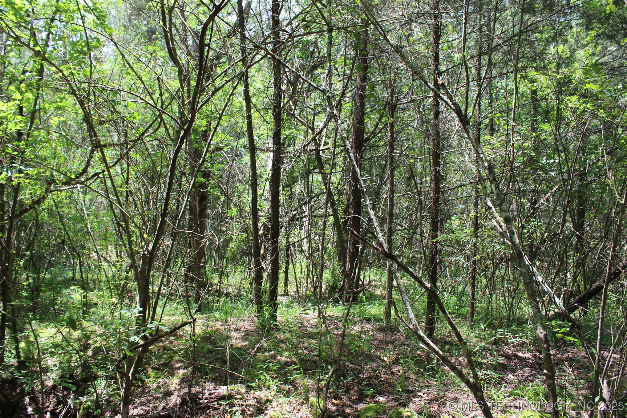 5 E 1909 Road Antlers OK 74523