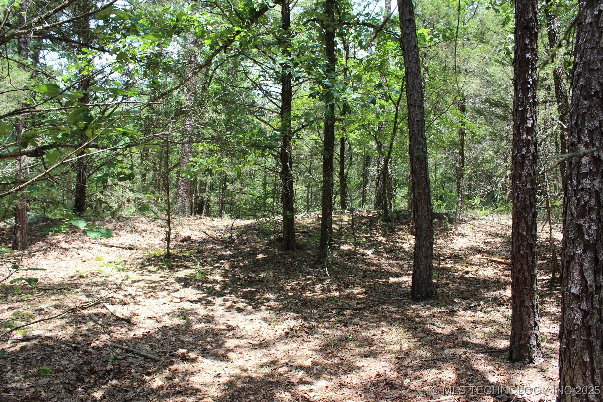 5 E 1909 Road Antlers OK 74523