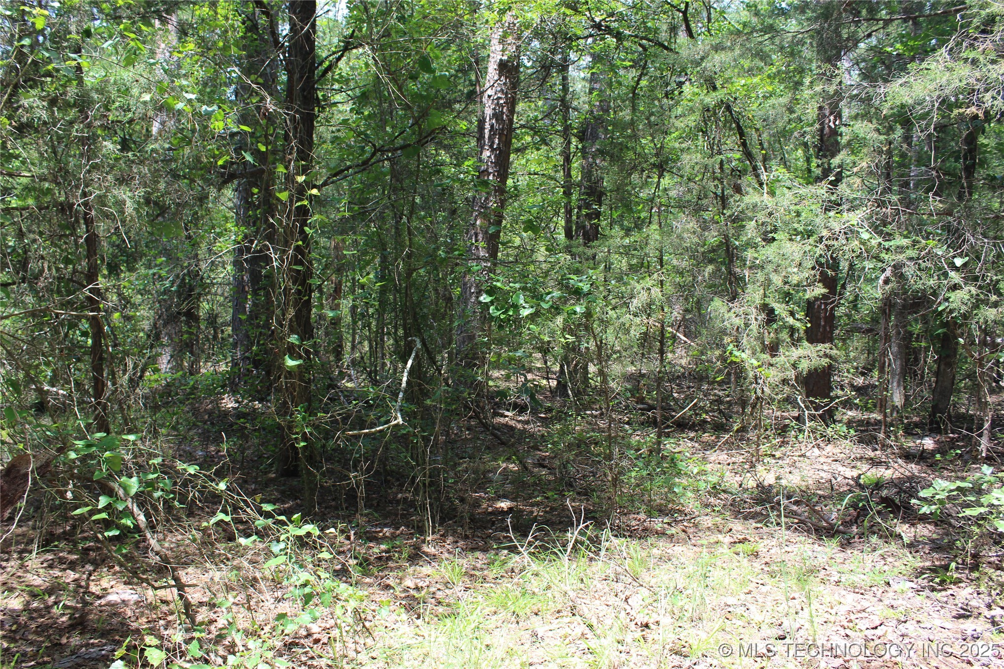 5 E 1909 Road Antlers OK 74523
