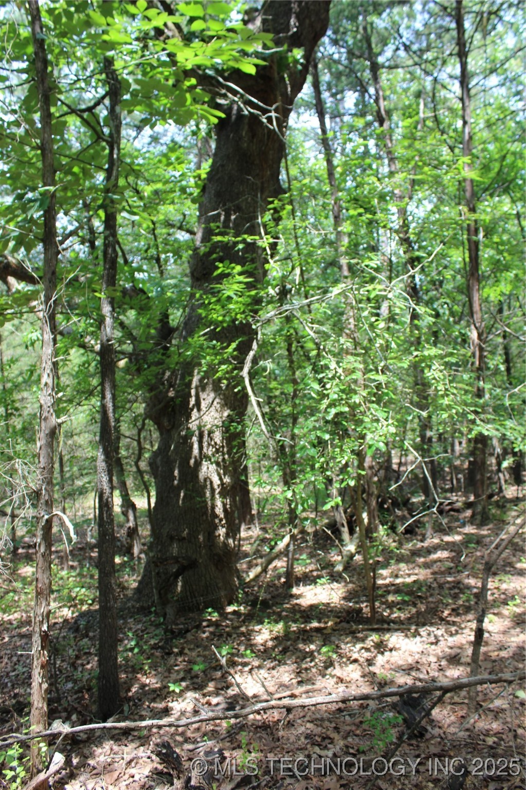 5 E 1909 Road Antlers OK 74523