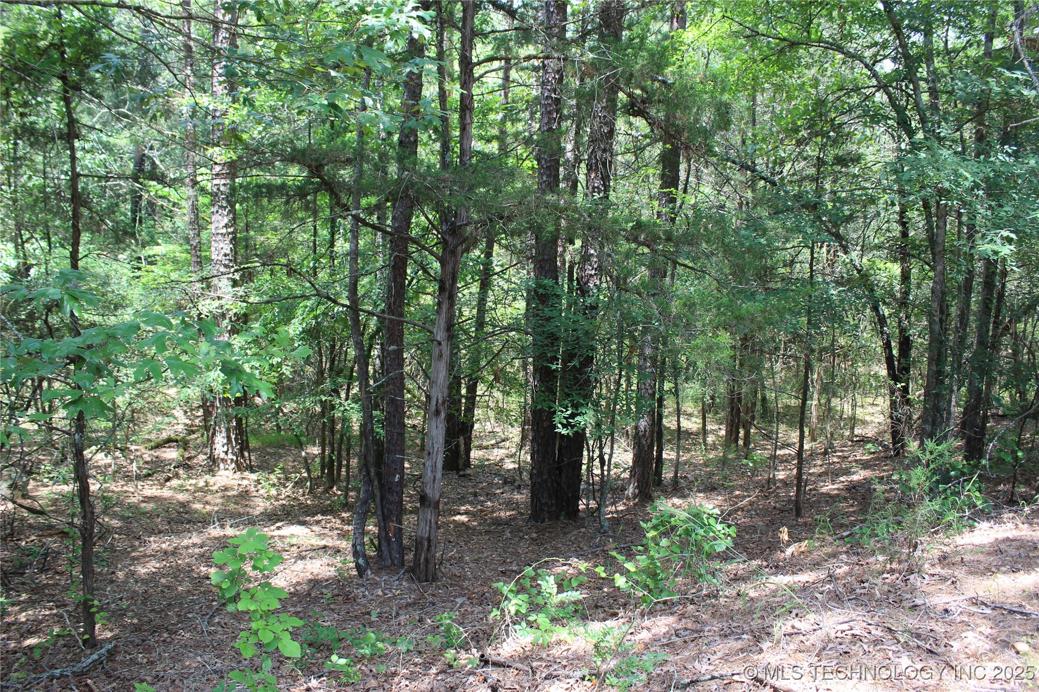 5 E 1909 Road Antlers OK 74523