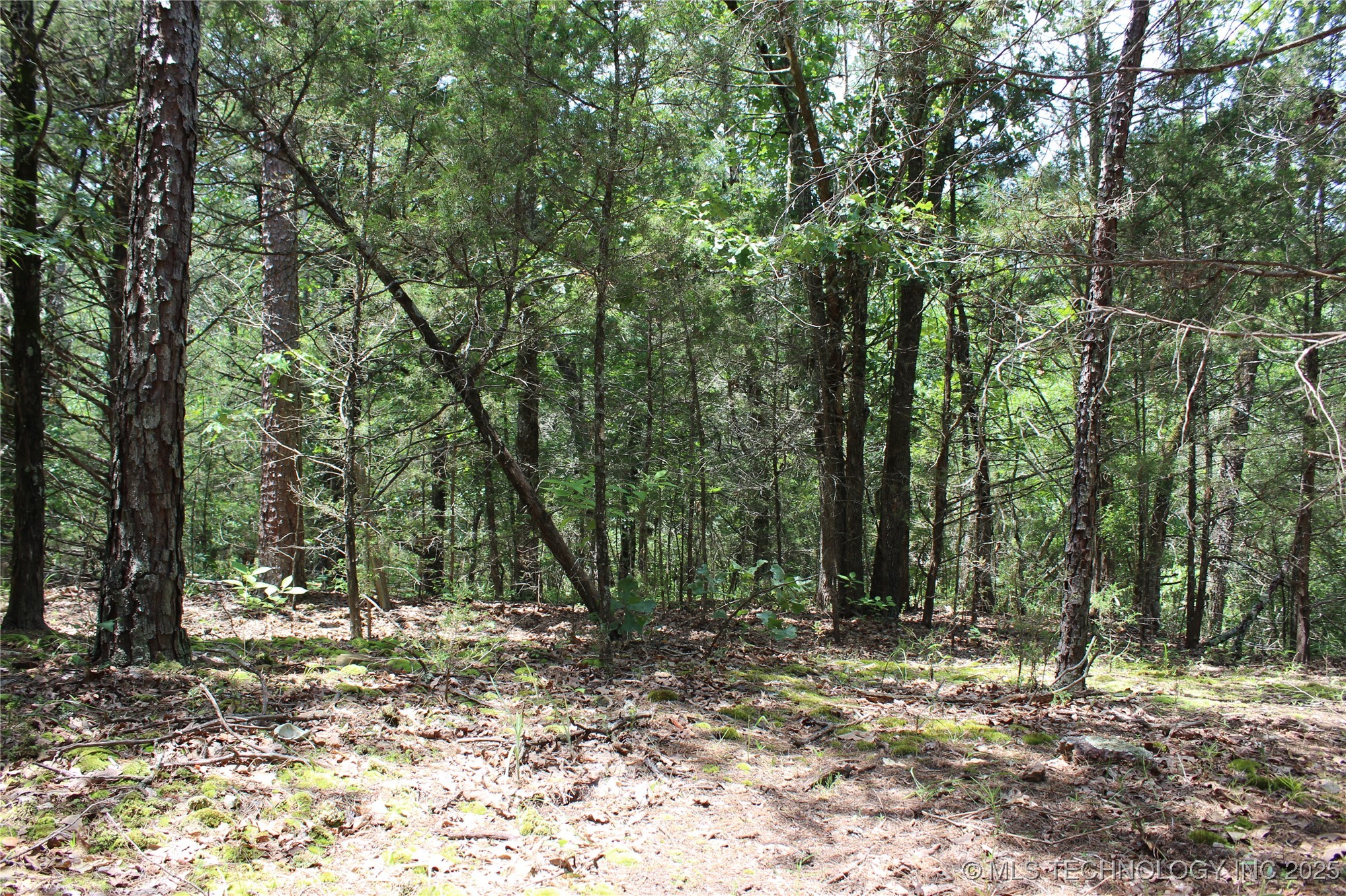 5 E 1909 Road Antlers OK 74523