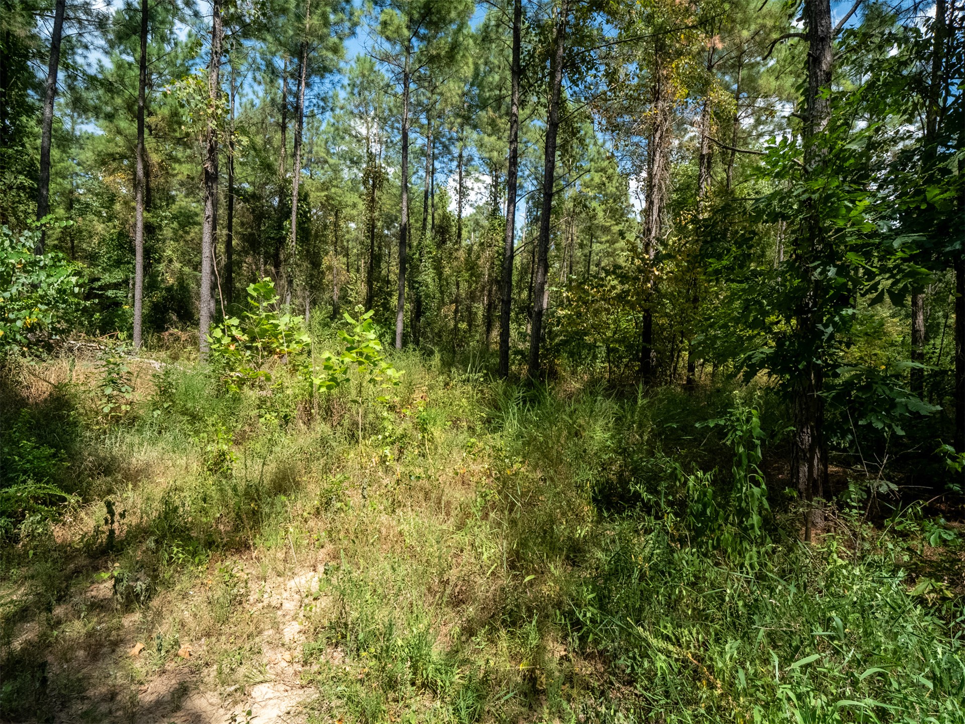 Indian Trail Smithville OK 74957