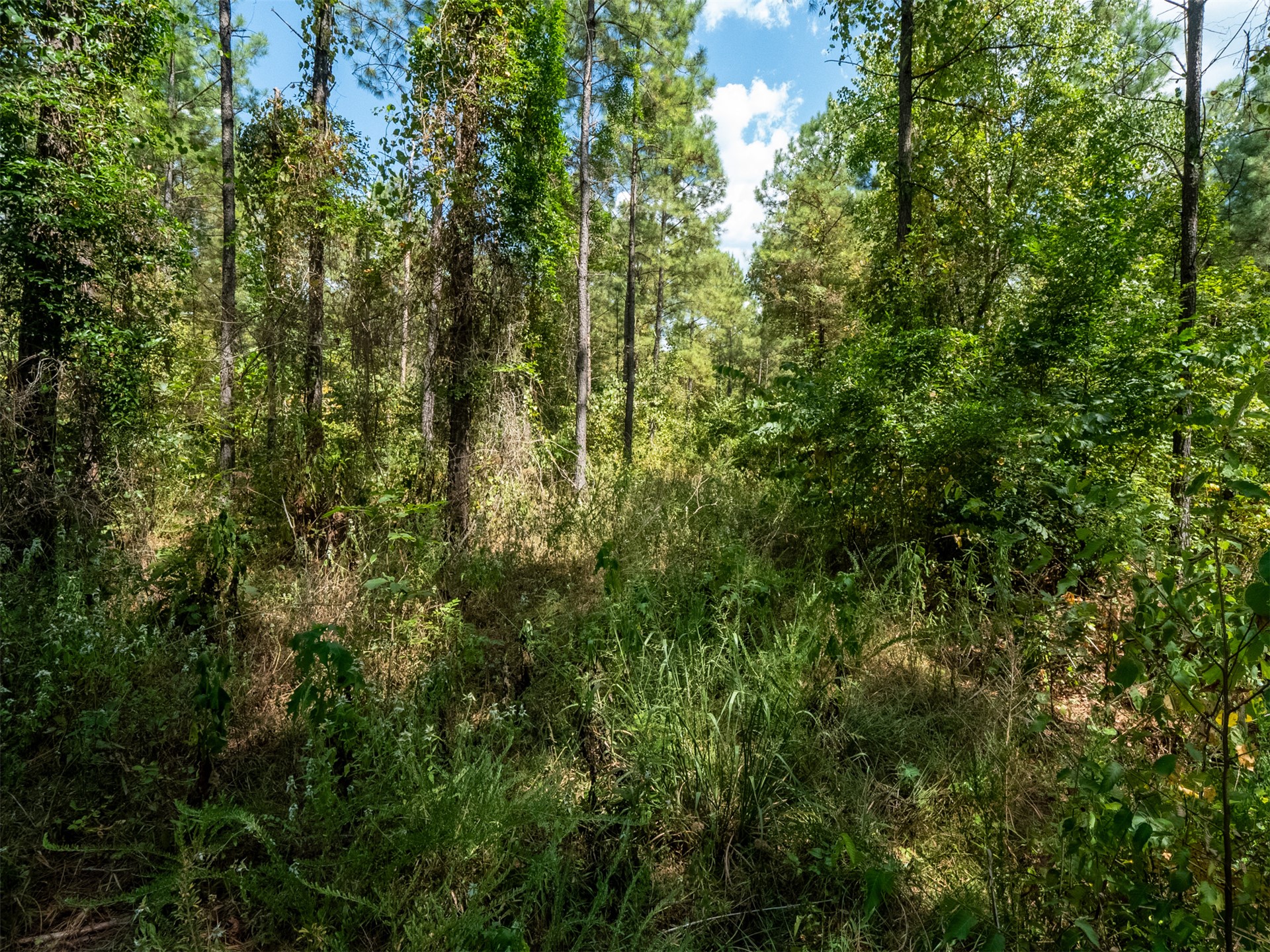 Indian Trail Smithville OK 74957