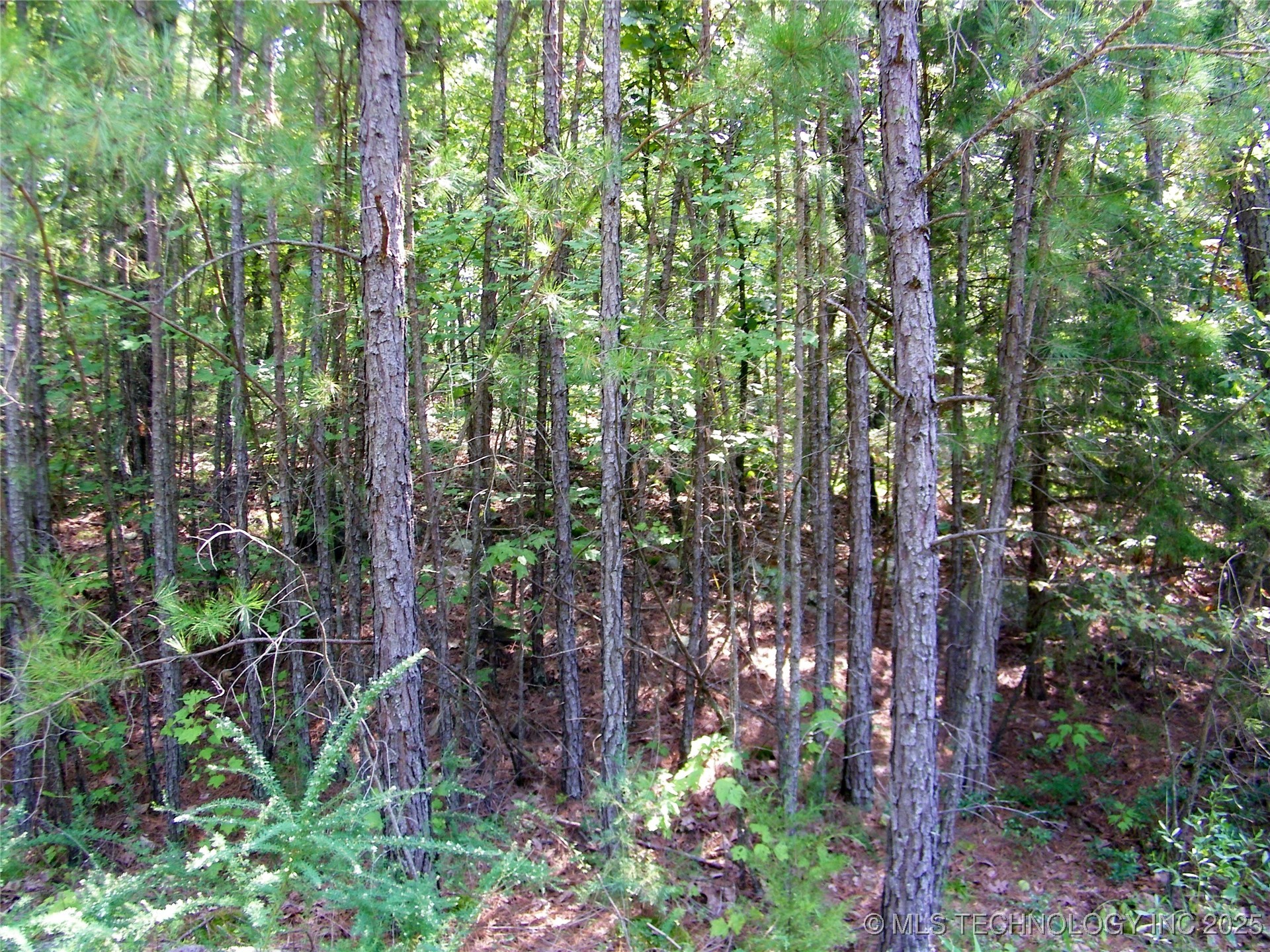 NE 155th Street Red Oak OK 74563