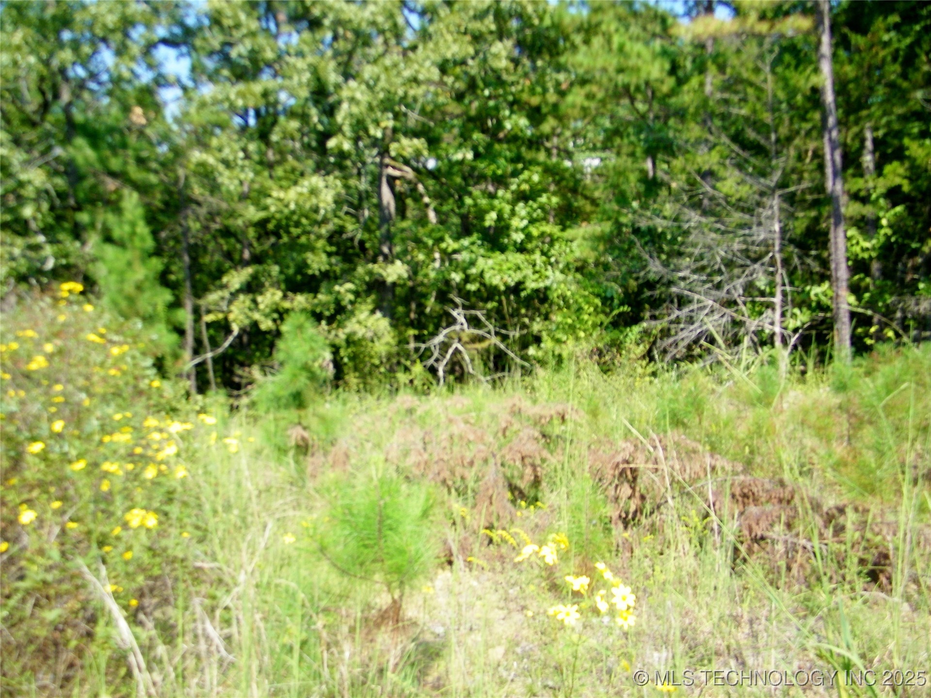 NE 155th Street Red Oak OK 74563