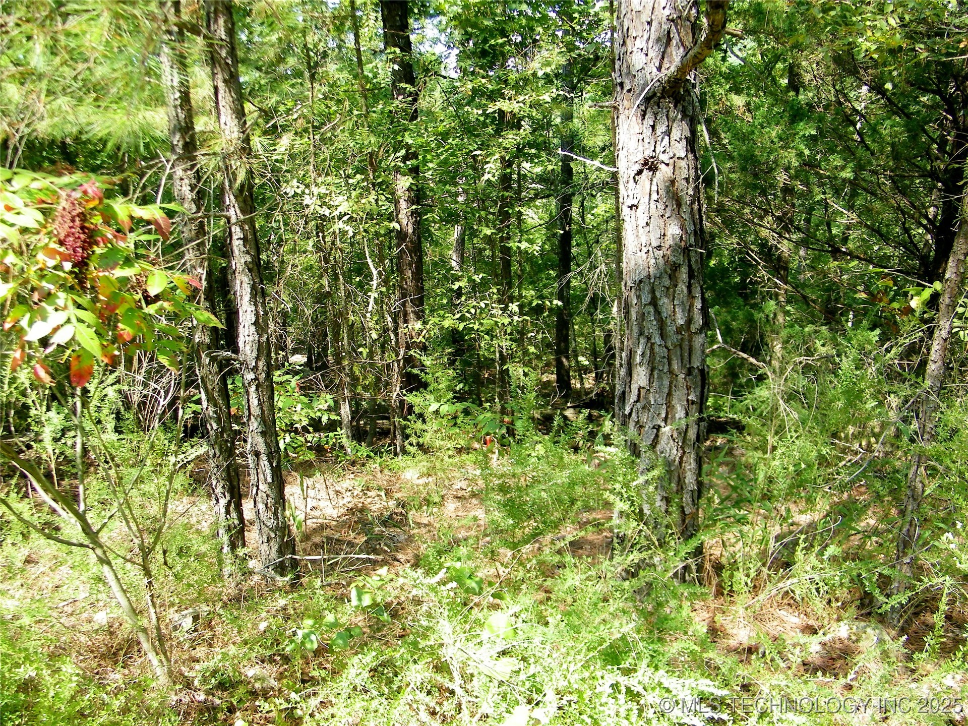 NE 155th Street Red Oak OK 74563