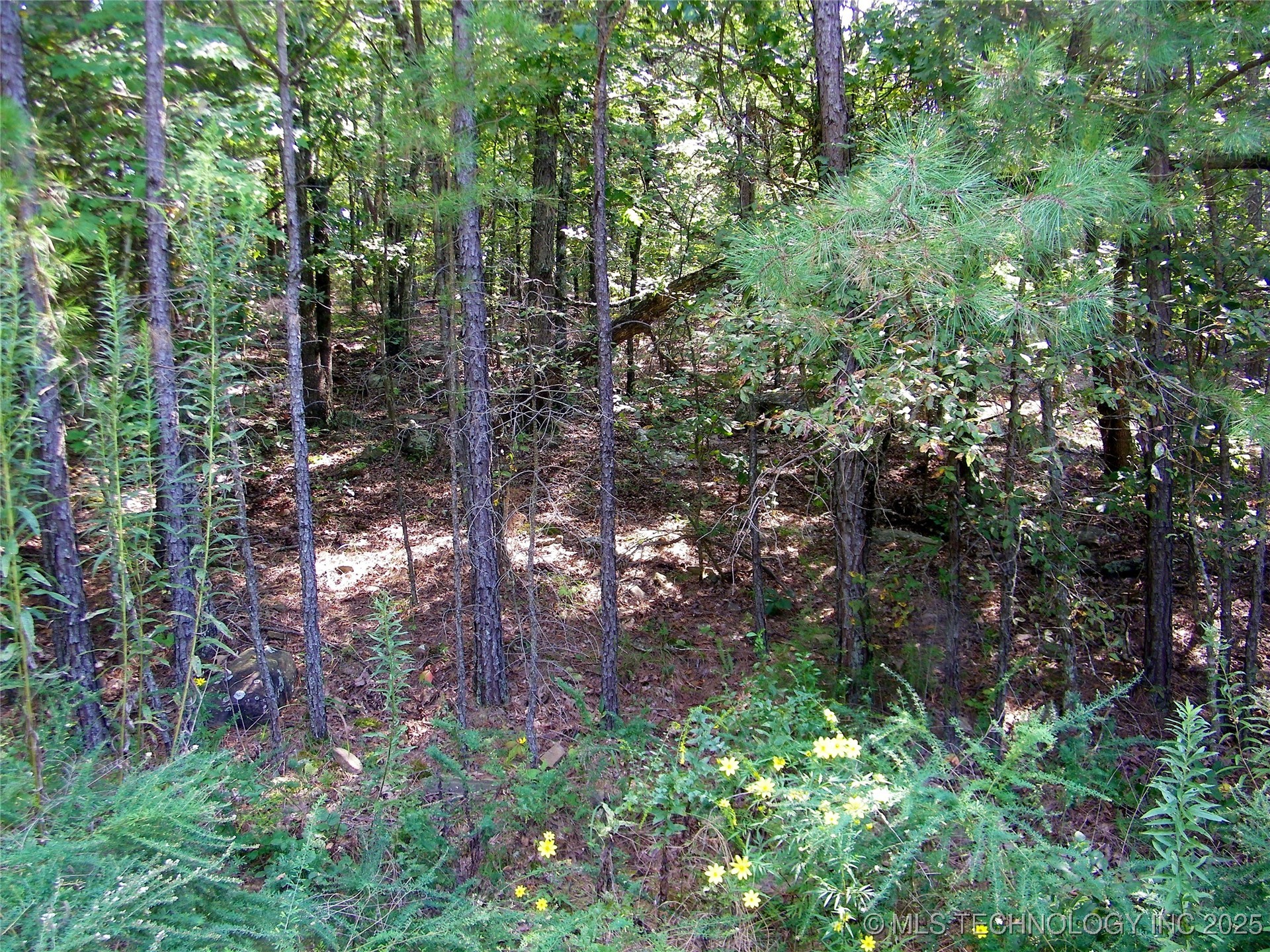 NE 155th Street Red Oak OK 74563