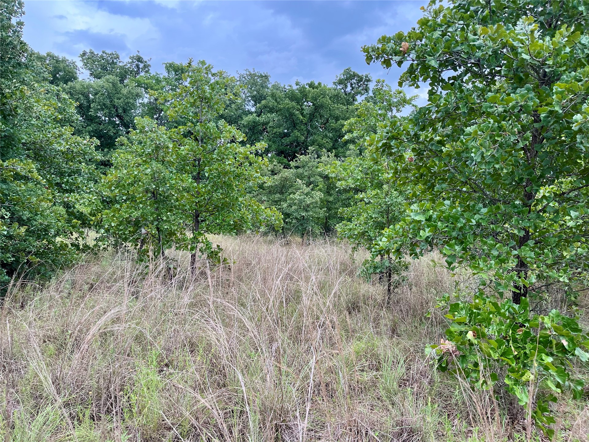 Maverick Road Wilson OK 73463