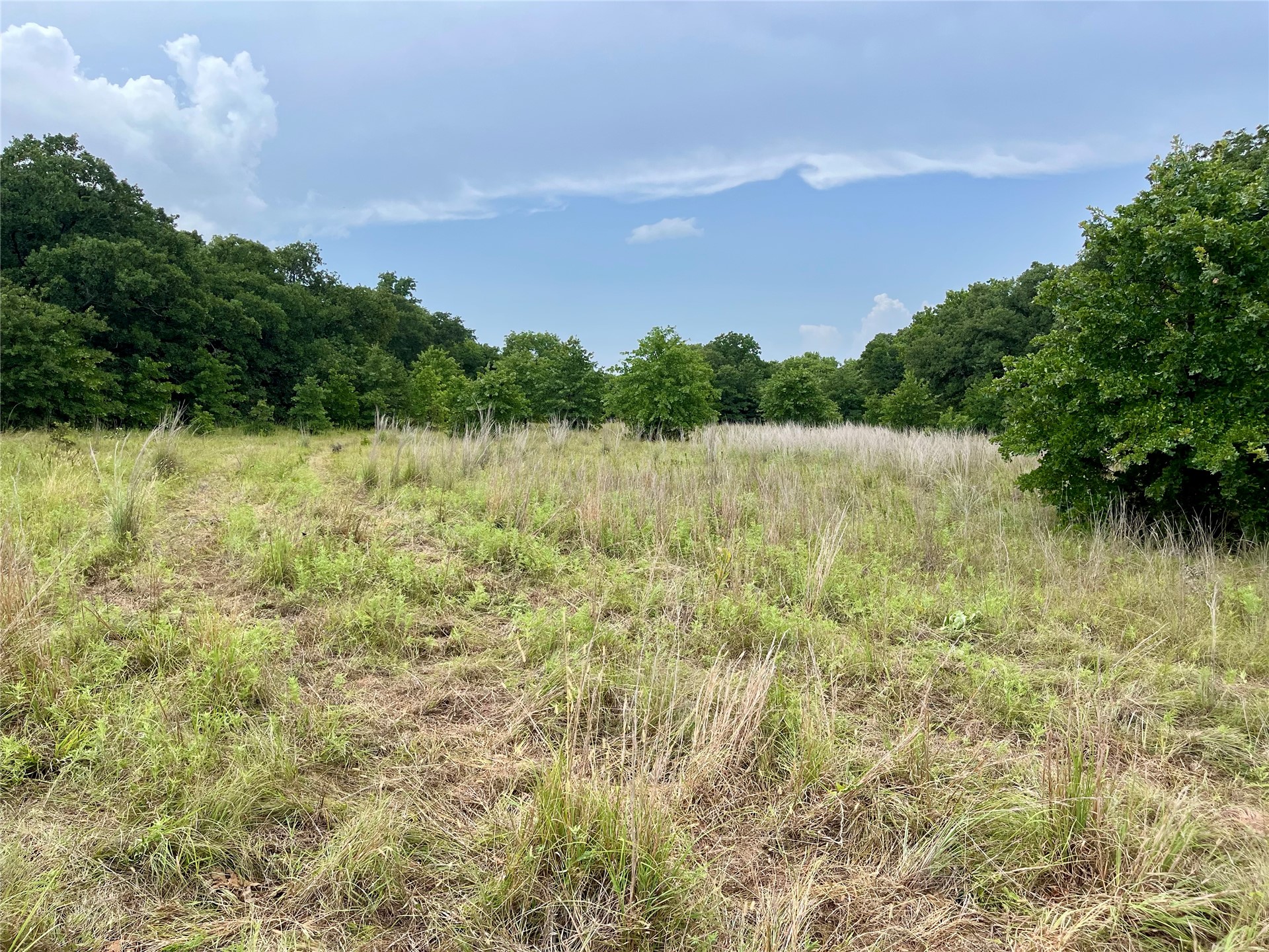 Maverick Road Wilson OK 73463