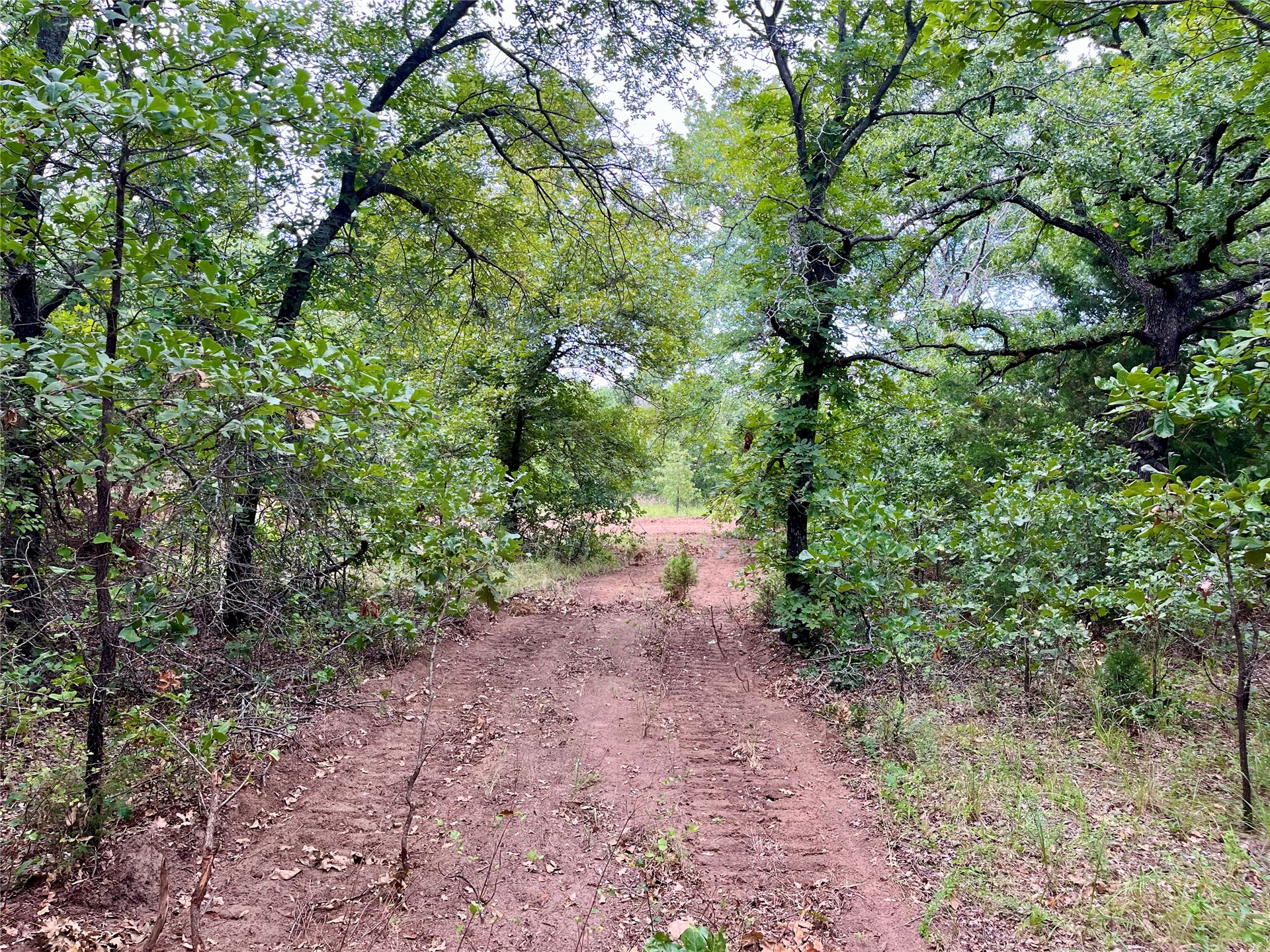 Maverick Road Wilson OK 73463