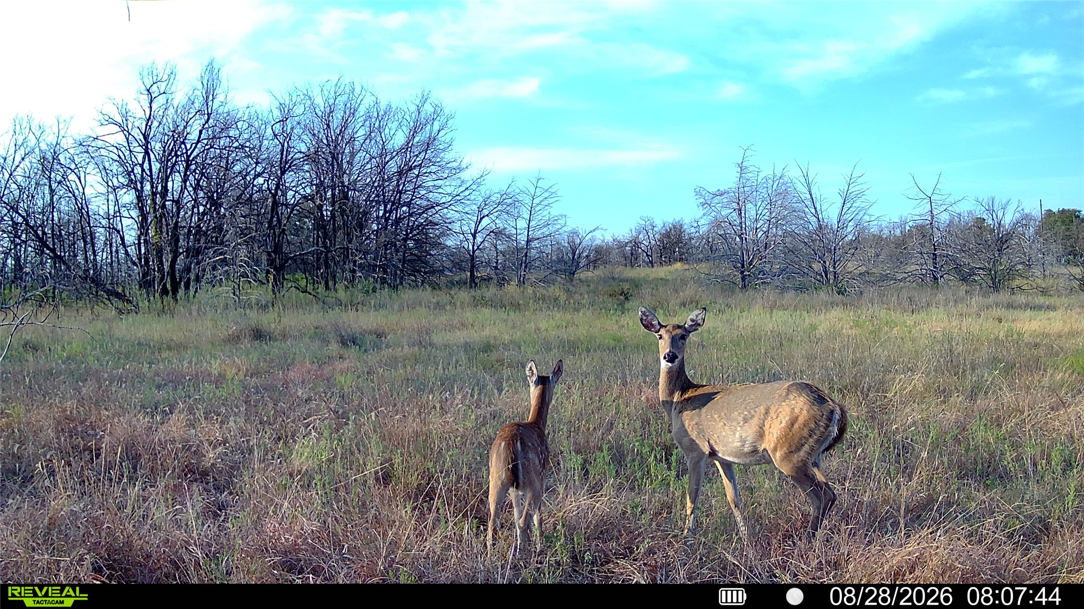 Seward Road E Meridian OK 73058