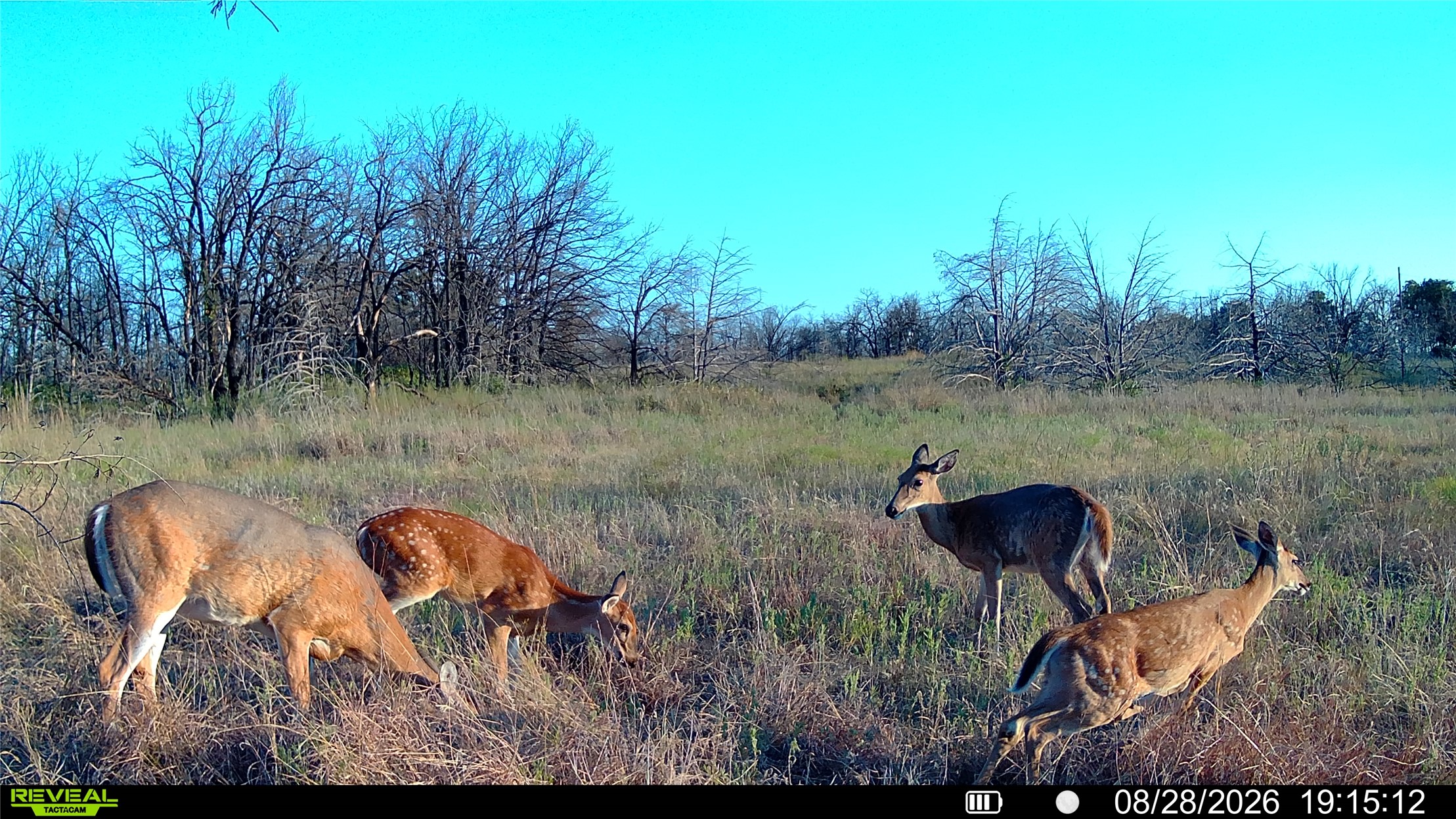 Seward Road E Meridian OK 73058