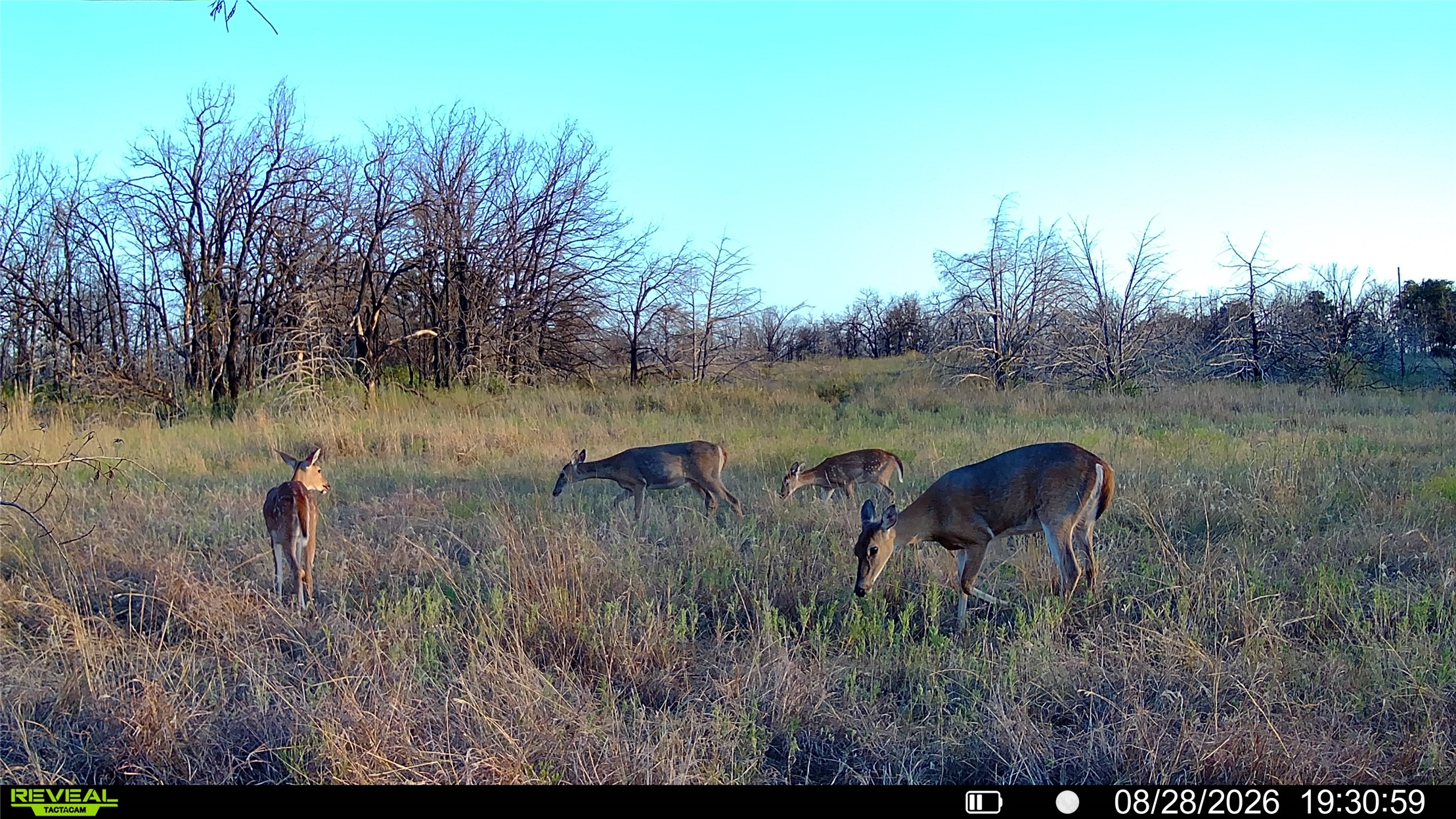Seward Road E Meridian OK 73058