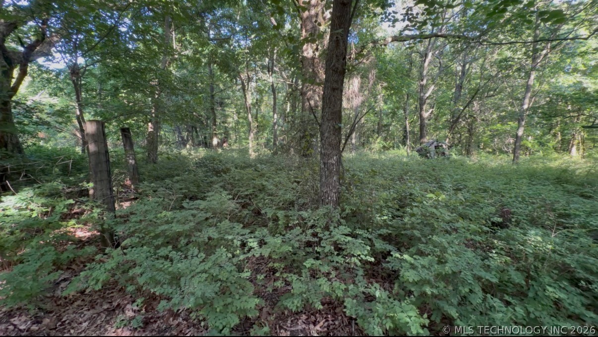 16835 E 390 Road Jay OK 74346