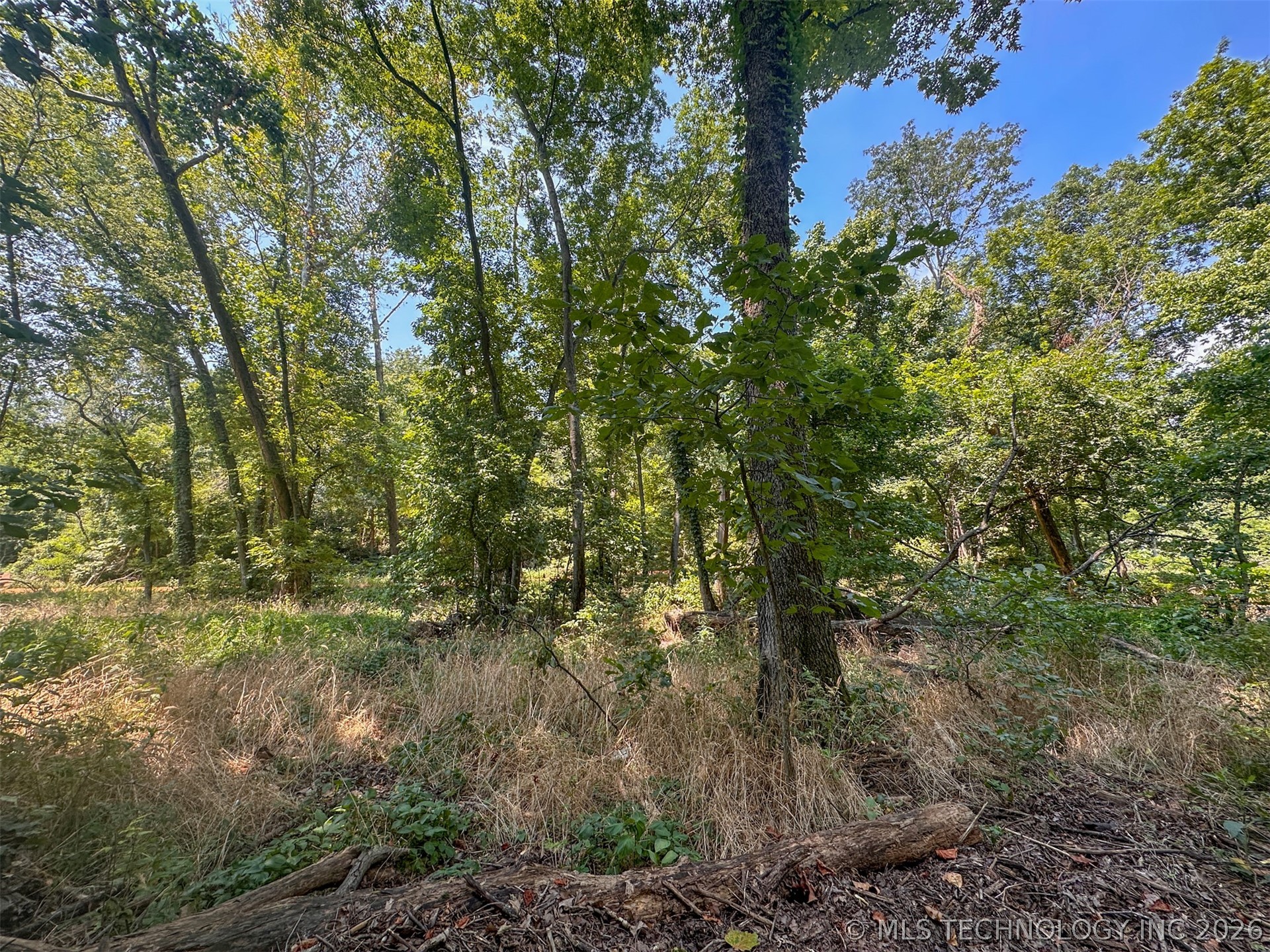 180 E Wyandotte Road Wyandotte OK 74370