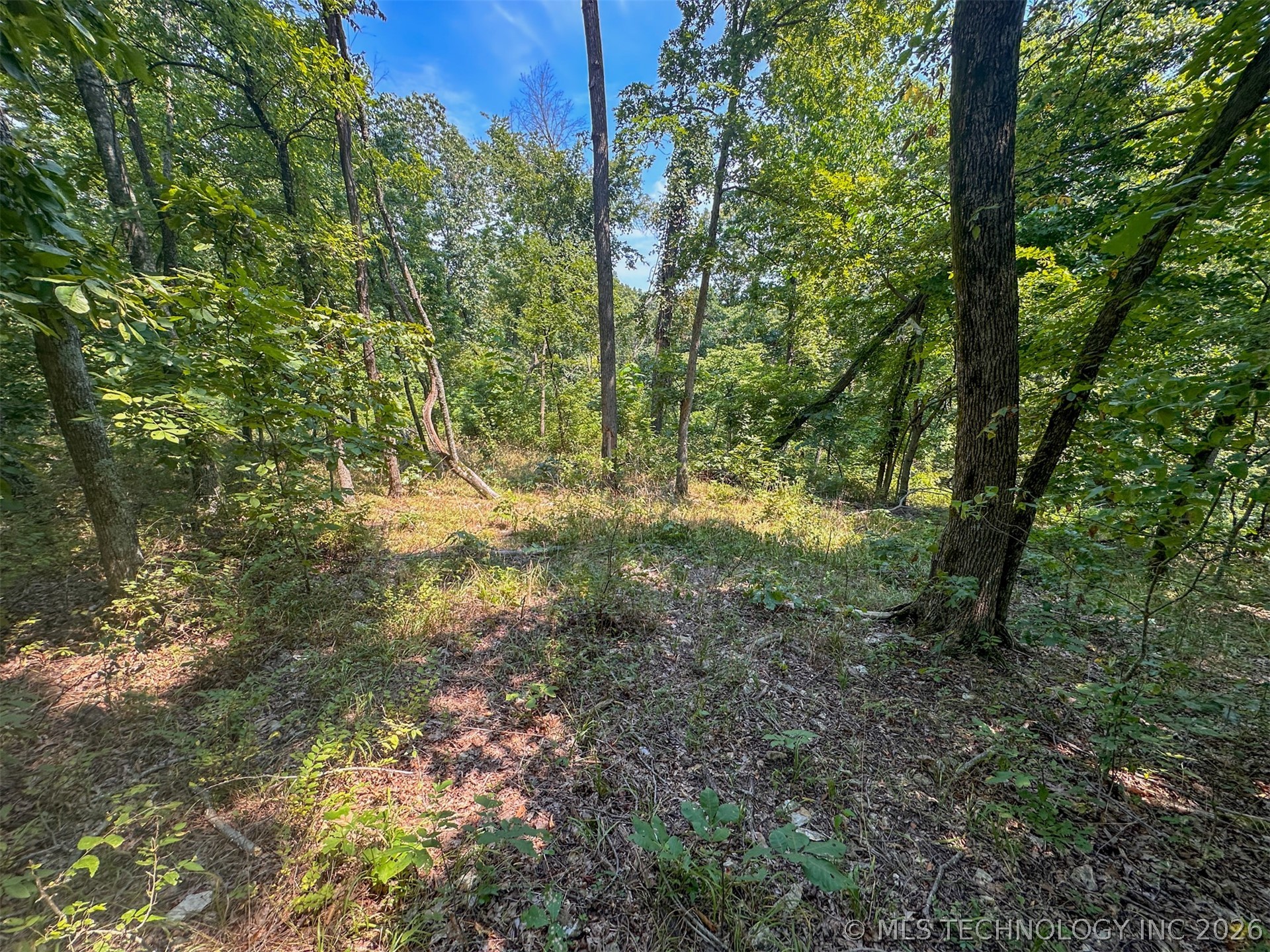 180 E Wyandotte Road Wyandotte OK 74370